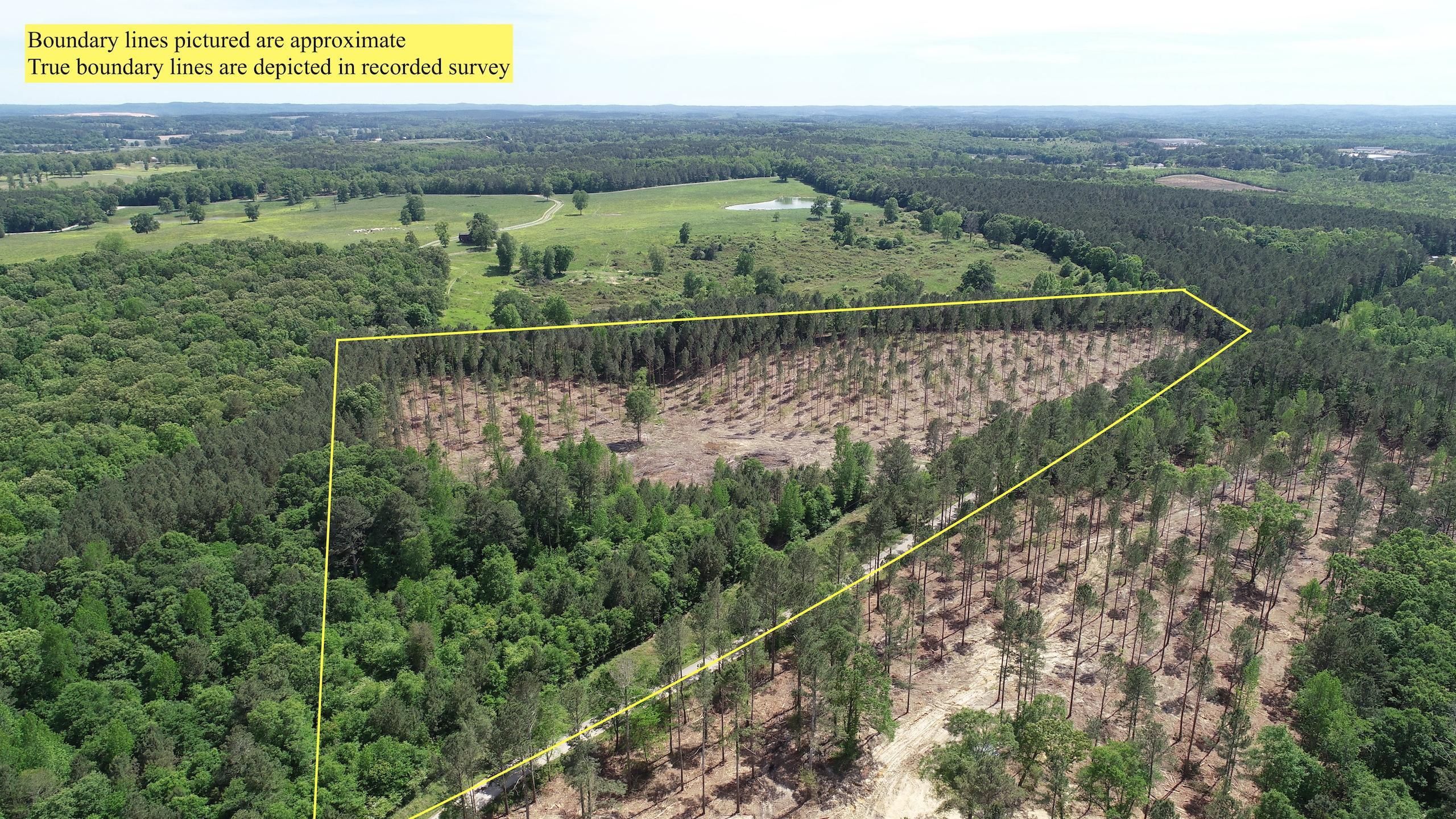 Cedartown, Polk County, GA Recreational Property, Timberland Property, Hunting Property for sale