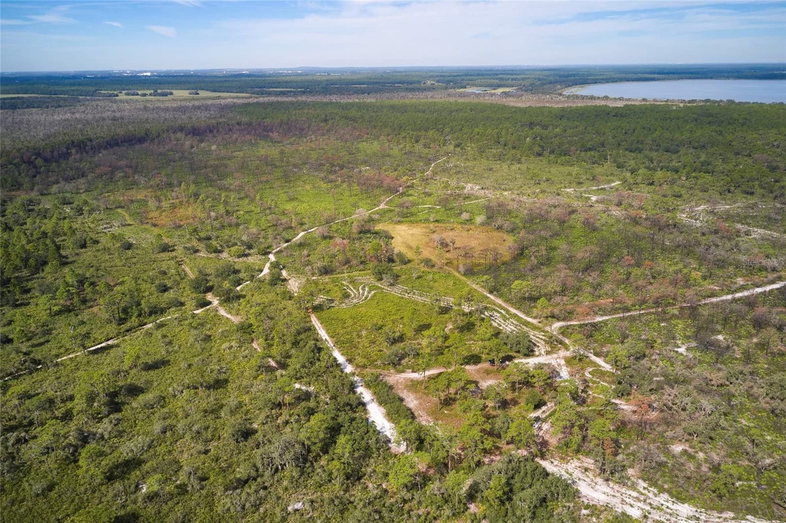 Lake Wales, Polk County, FL Undeveloped Land for sale Property ID
