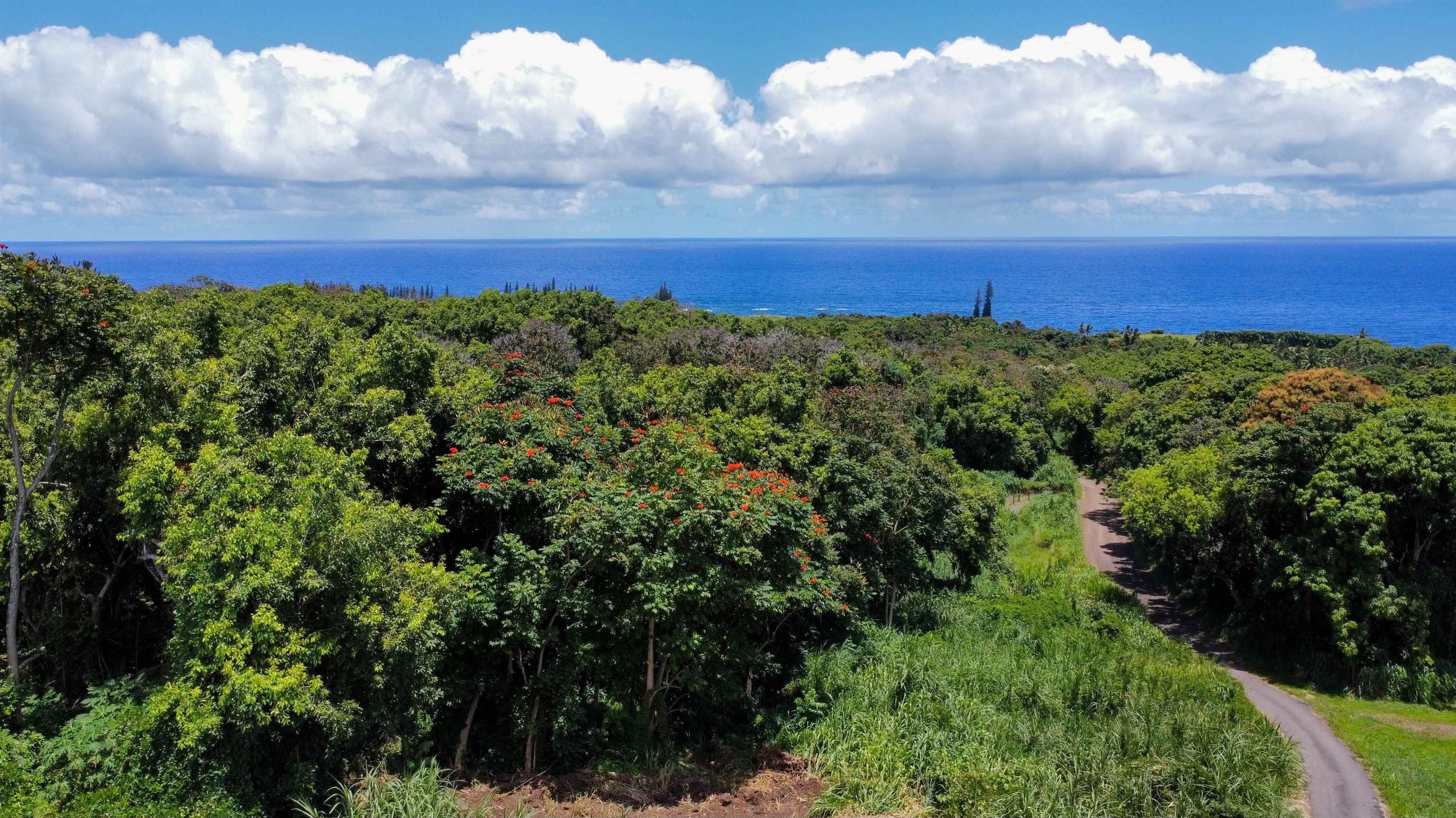 Hana, Maui County, HI Undeveloped Land, Homesites for sale Property ID