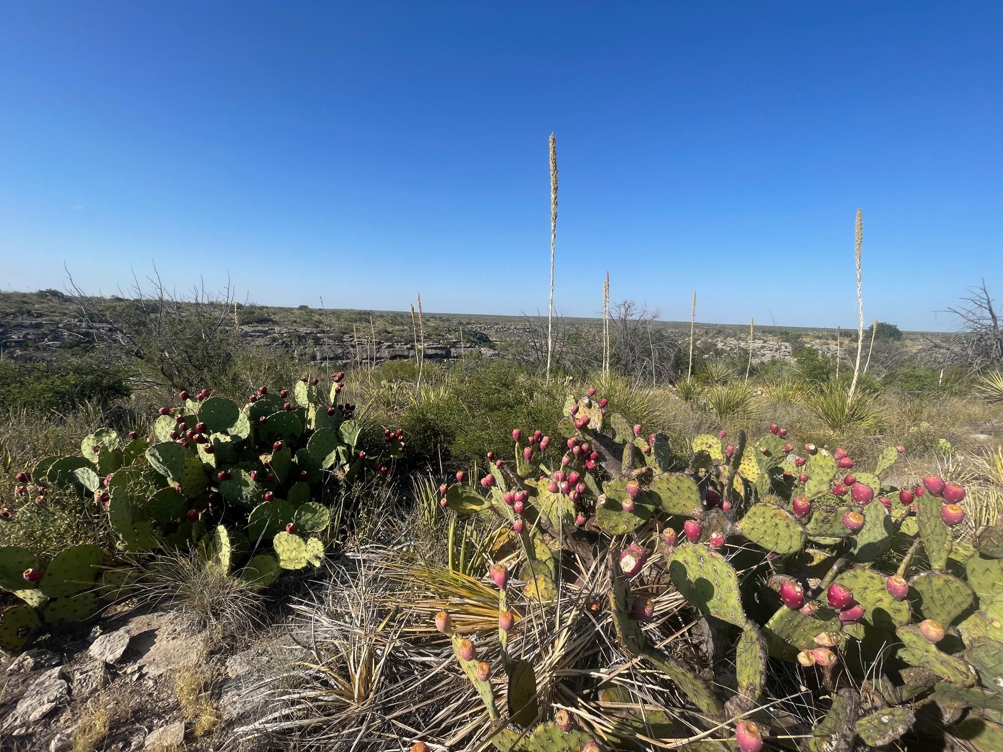 127.89 acres in Pumpville, TX, 78837 LandWatch