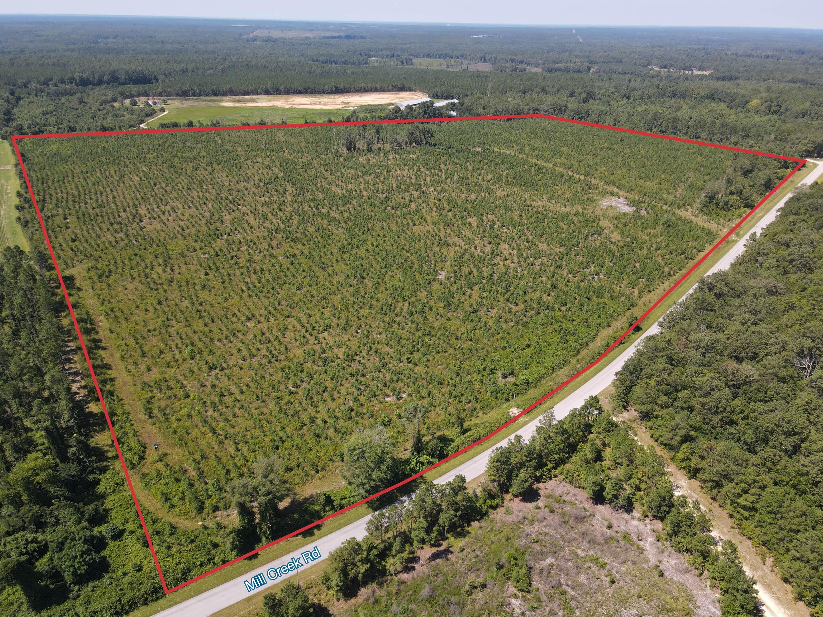 Bethune, Kershaw County, SC Recreational Property, Commercial Property, Hunting Property for