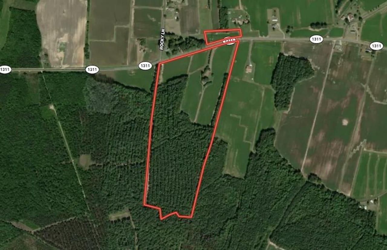 Garysburg, Northampton County, NC Recreational Property, Timberland