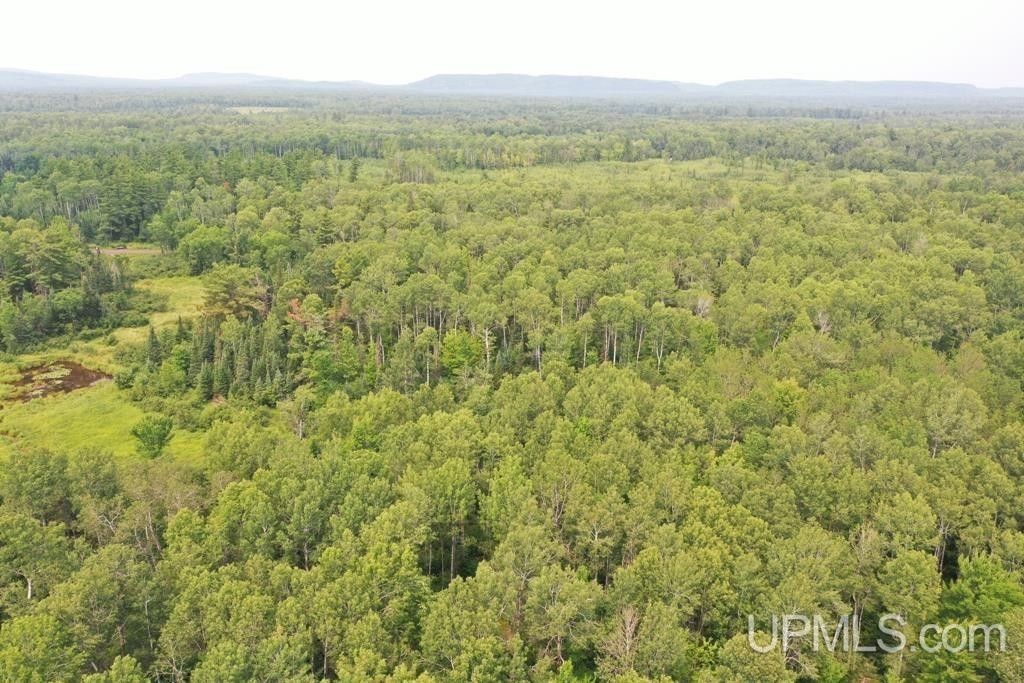 Bergland, Ontonagon County, MI Undeveloped Land for sale Property ID