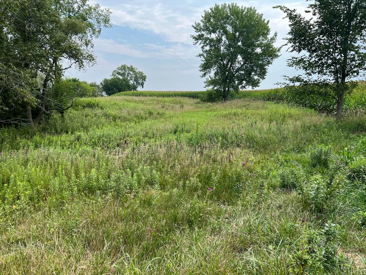 Loraine, Adams County, IL Recreational Property, Hunting Property for