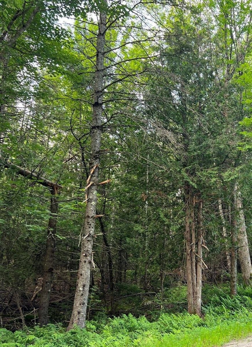 Lagrange, Penobscot County, ME Undeveloped Land for sale Property ID