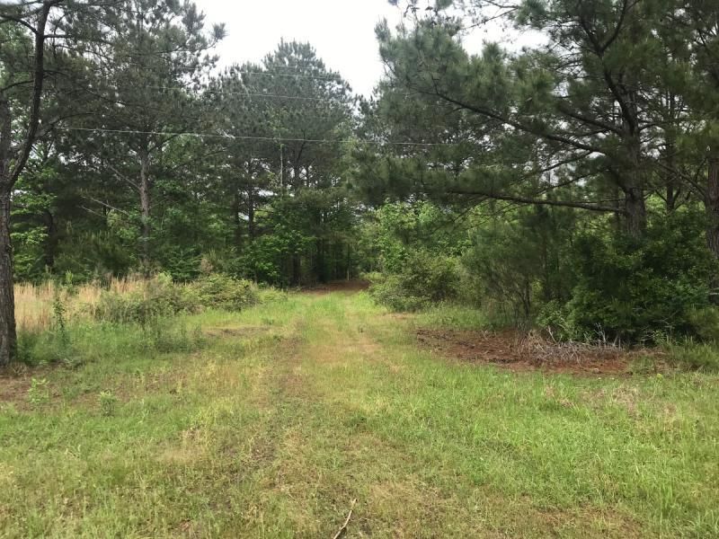 Centreville, Amite County, MS Timberland Property for sale Property ID