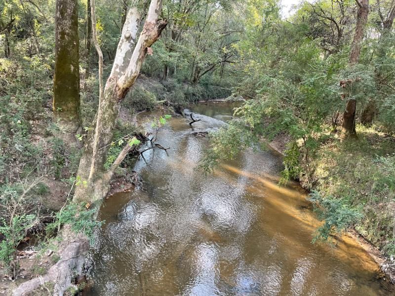 Liberty, Amite County, MS Timberland Property, Riverfront Property, Waterfront Property for sale