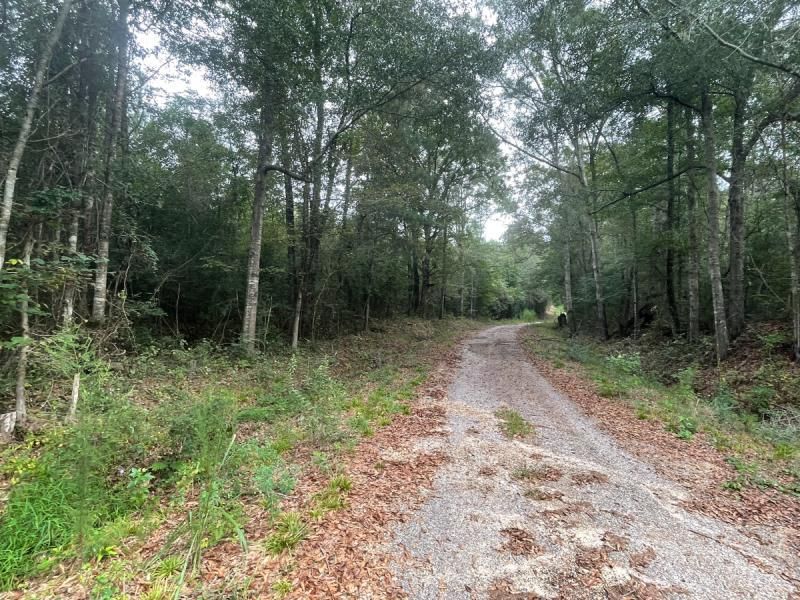 Seminary, MS, Seminary, MS 39479 LandWatch