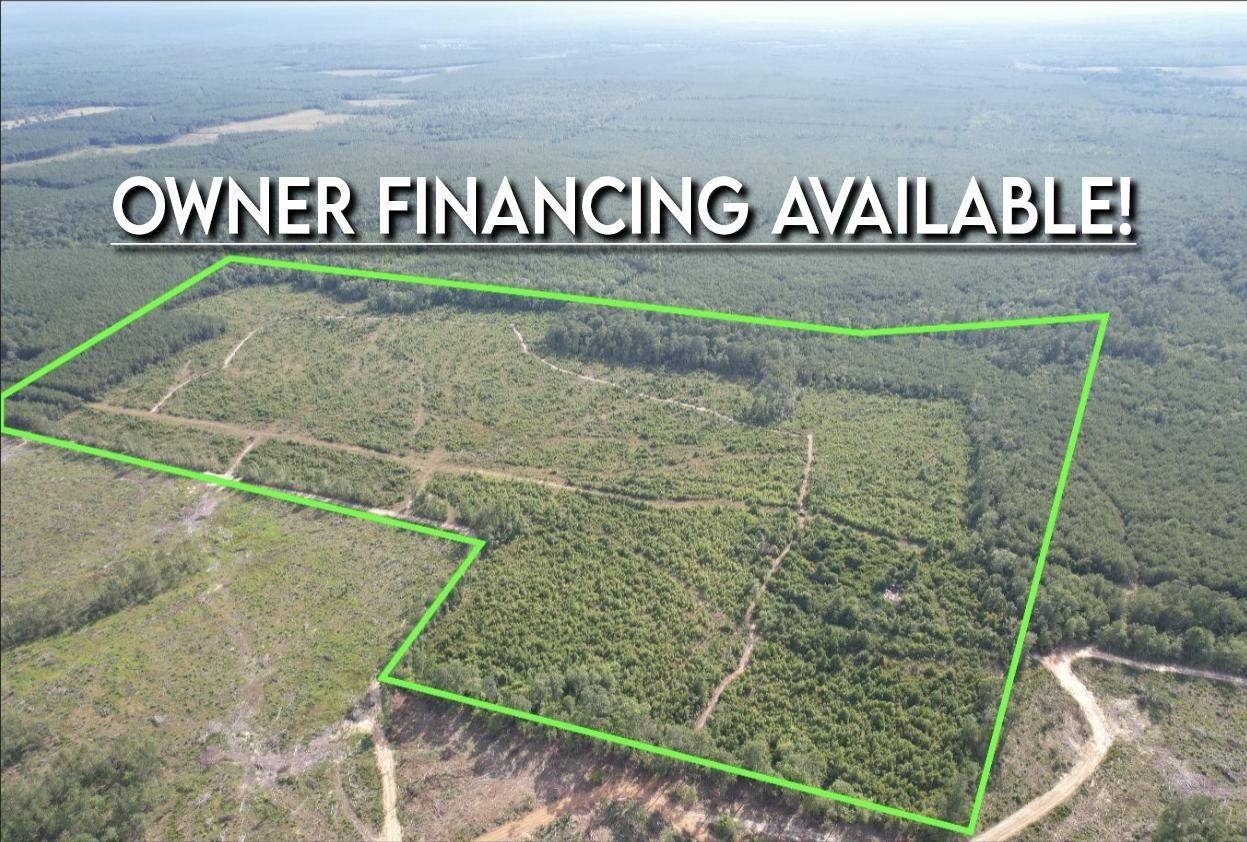 Burkeville, Newton County, TX Timberland Property, Undeveloped Land, Hunting Property for sale