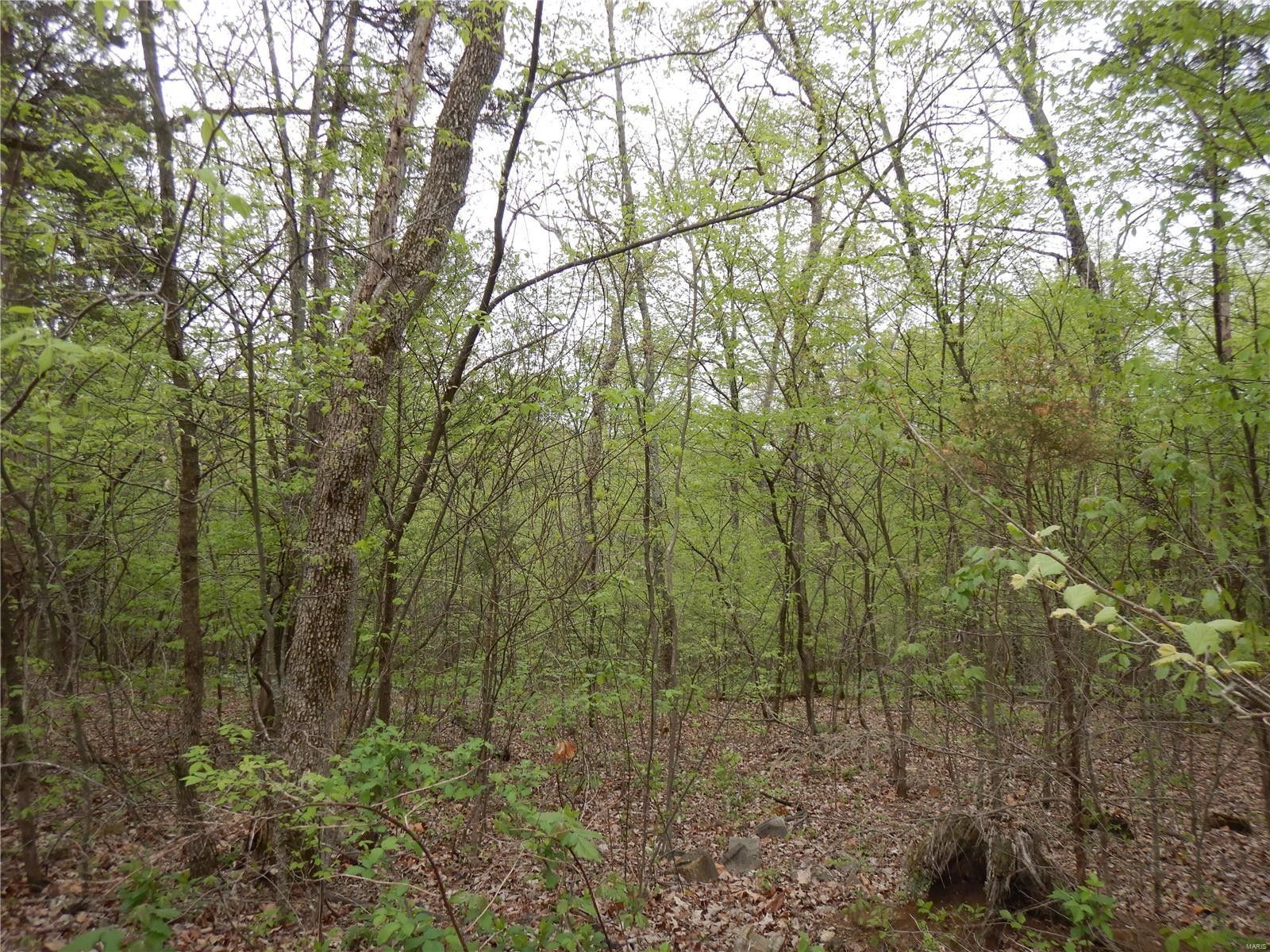 Marthasville, Warren County, MO Farms and Ranches for sale Property ID