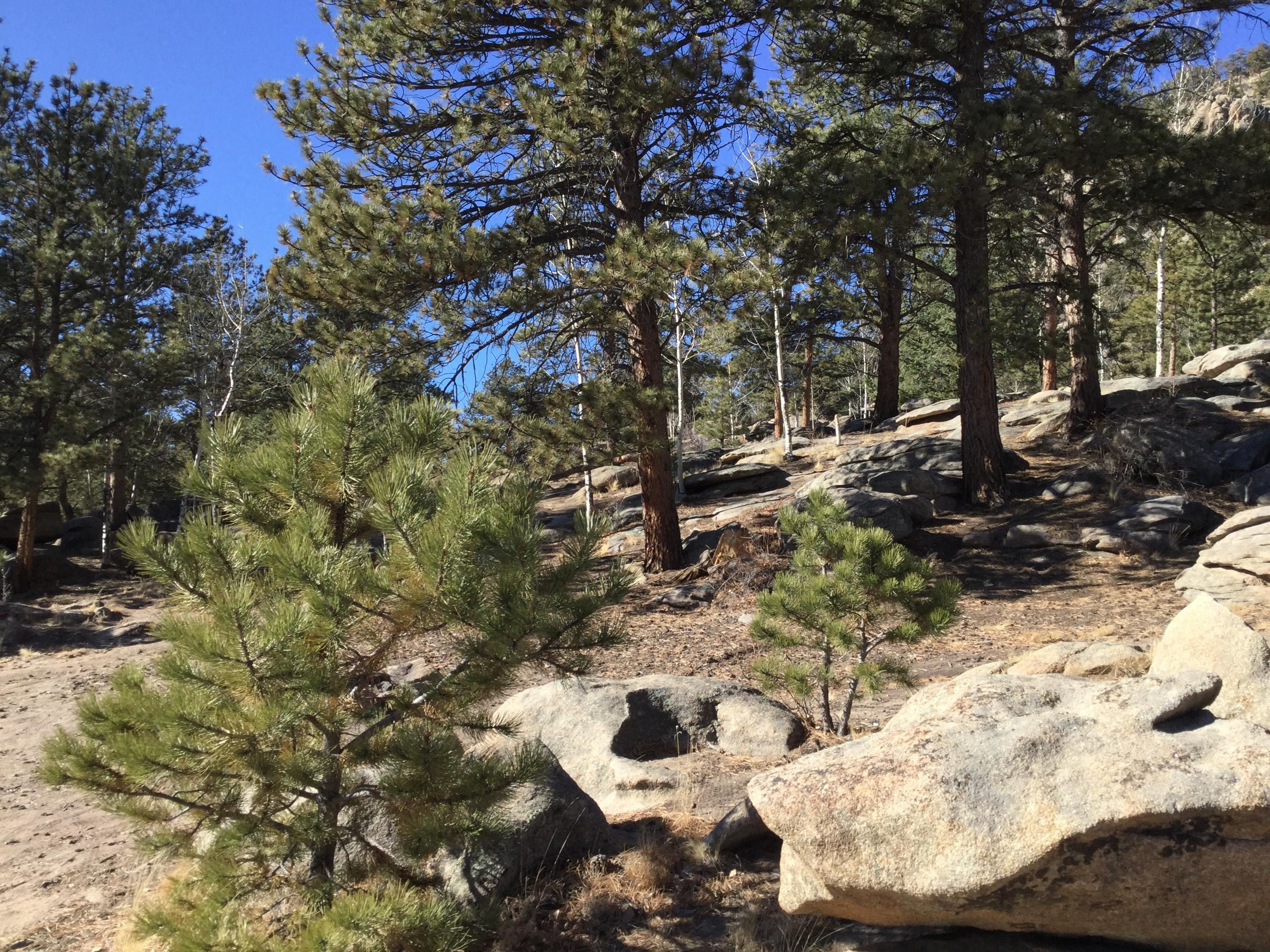 County Road 183, Salida, CO 81201 MLS Exclusive LandWatch