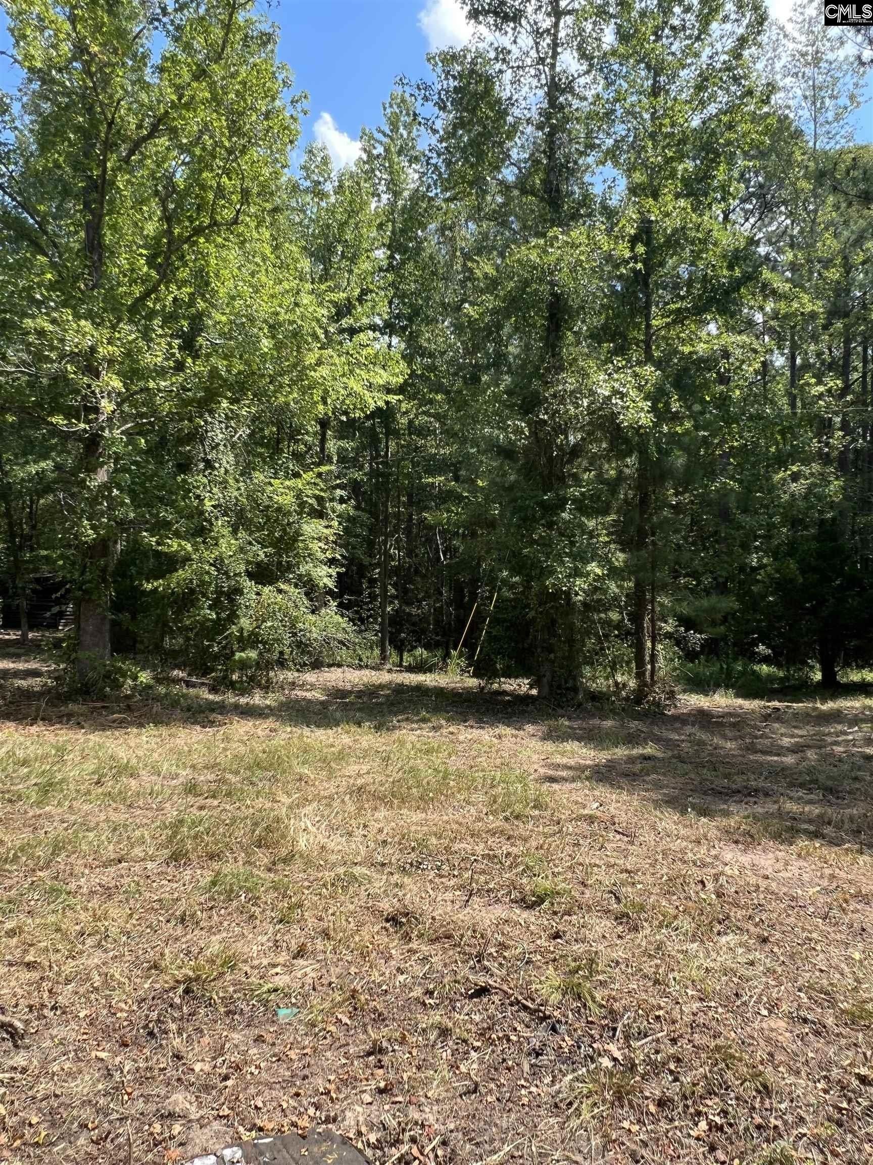 Leesville, Lexington County, SC Undeveloped Land, Lakefront Property