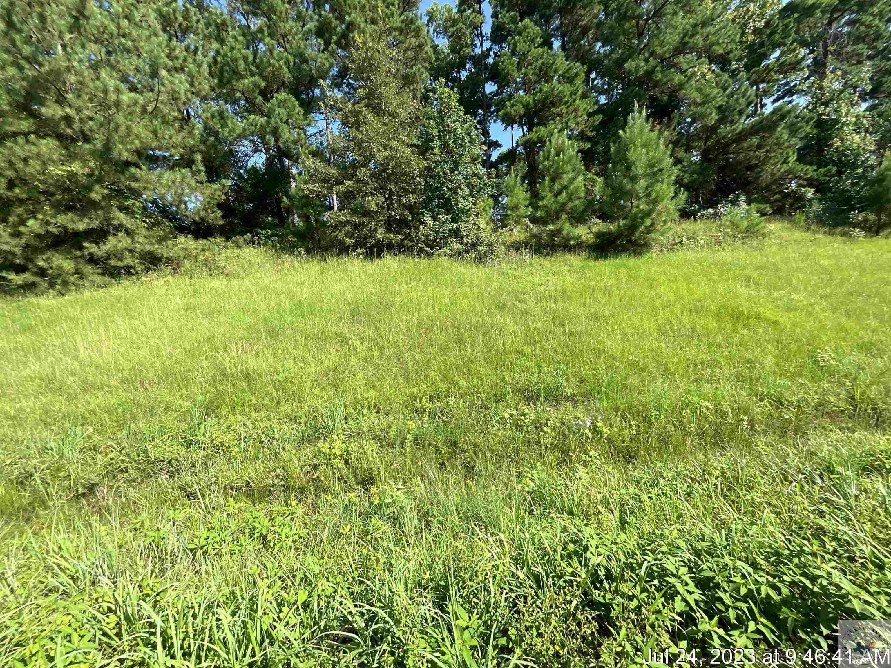 Atlanta, Cass County, TX Undeveloped Land, Homesites for sale Property