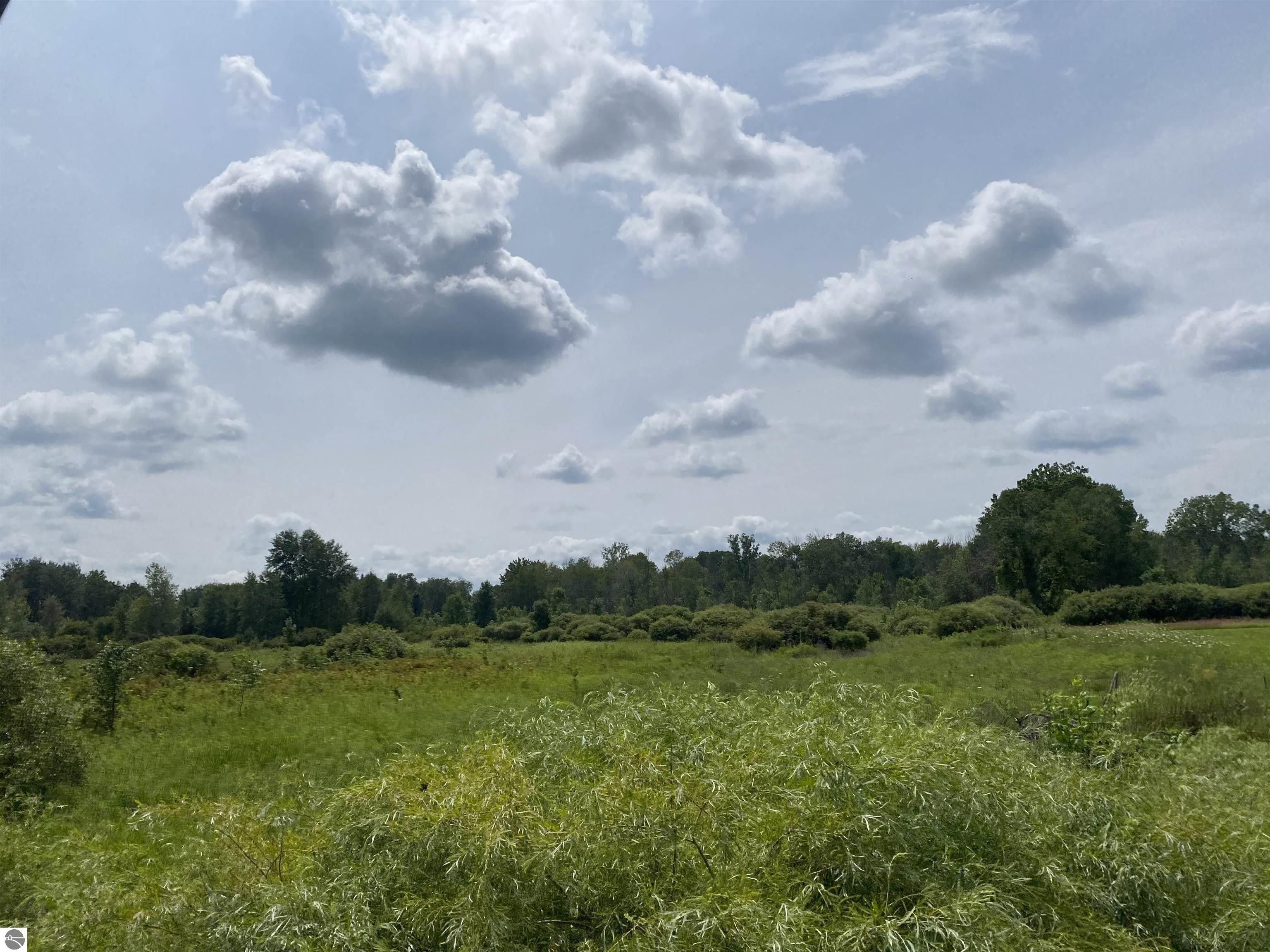 Mt Pleasant, Isabella County, MI Undeveloped Land, Lakefront Property, Waterfront Property for