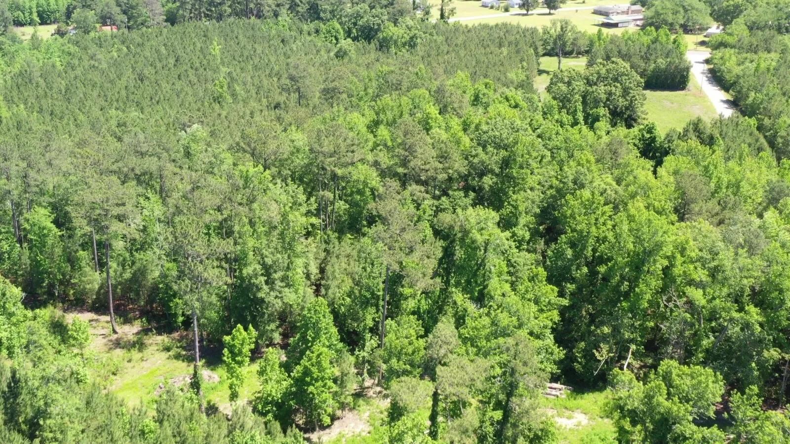 Andrews, County, SC Recreational Property, Undeveloped Land
