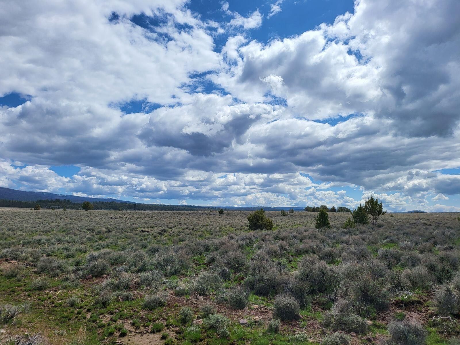 Bly, Klamath County, OR Undeveloped Land for sale Property ID