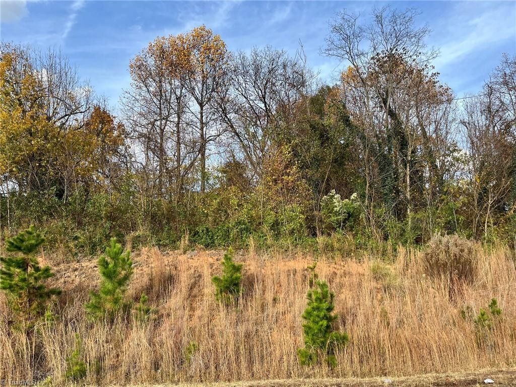 Lexington, Davidson County, NC Undeveloped Land, Homesites for sale