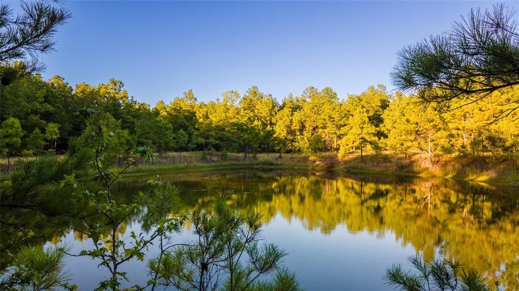 Mineola, Wood County, TX Lakefront Property, Waterfront Property, House
