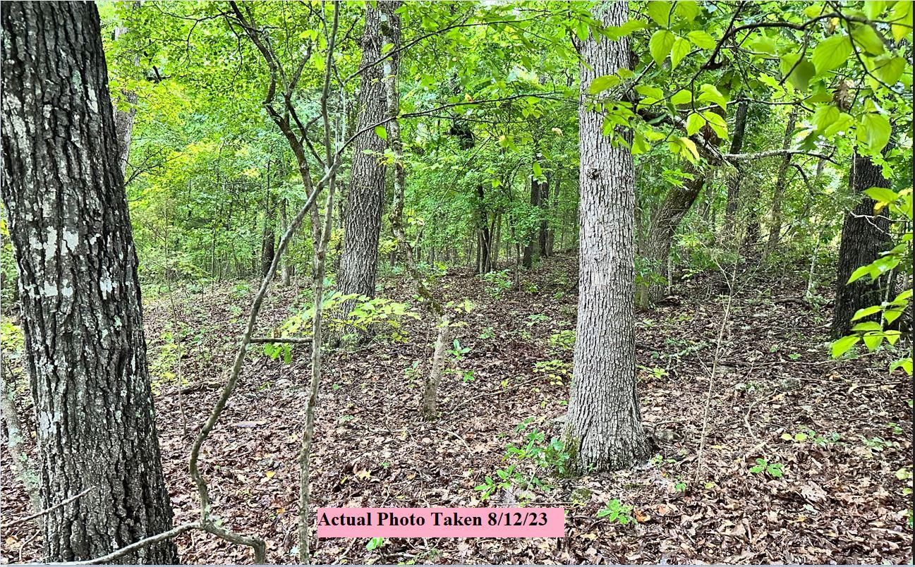 Cherokee Village, Sharp County, AR Recreational Property, Undeveloped