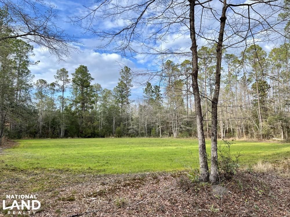 Citronelle, Mobile County, AL Recreational Property, Timberland