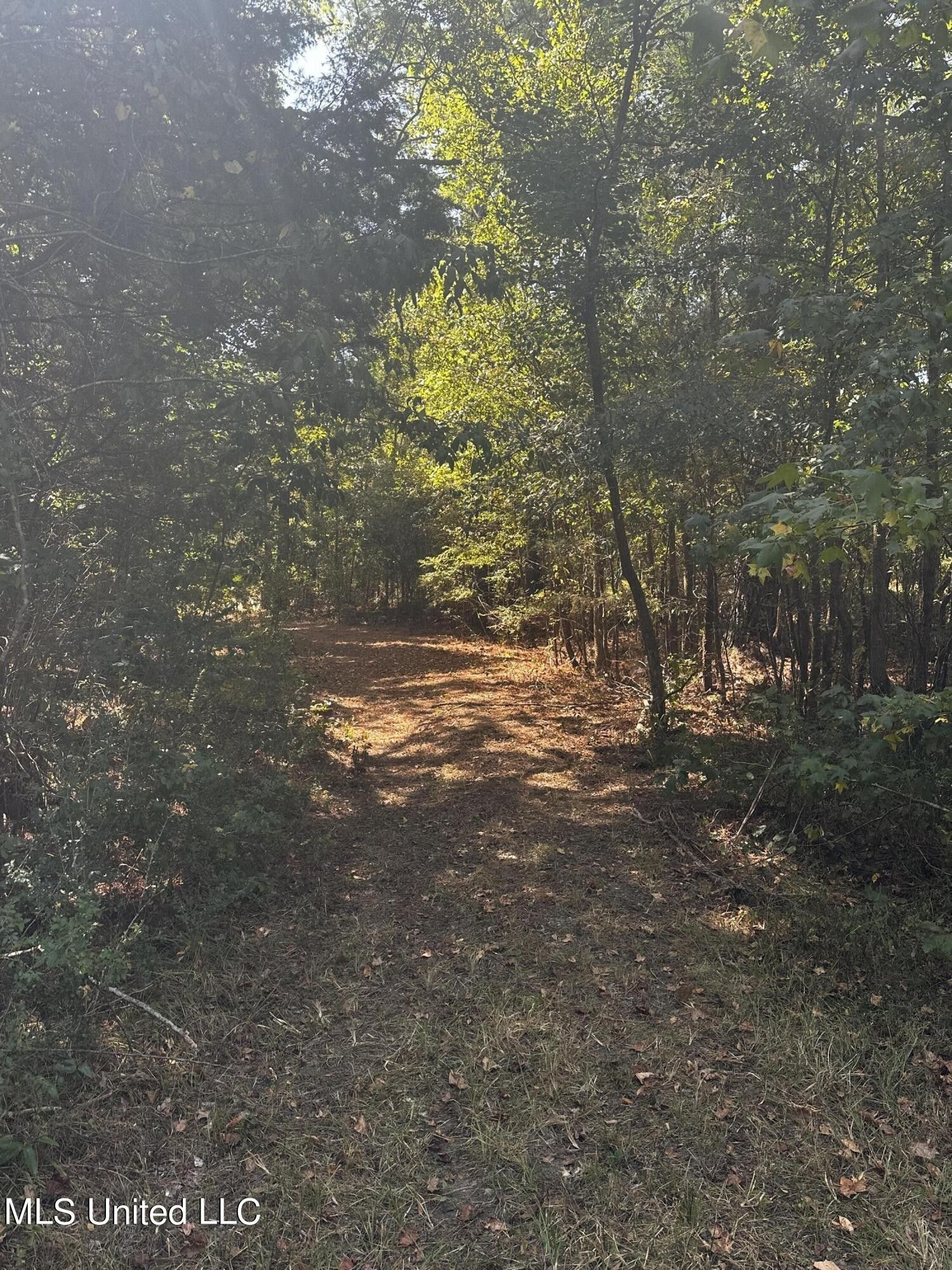 Canton, Madison County, MS Undeveloped Land for sale Property ID