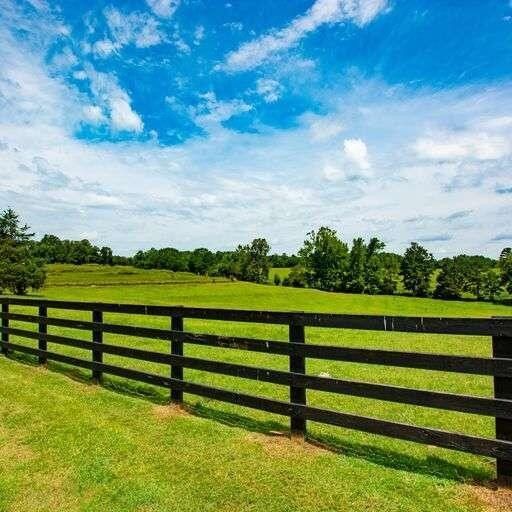 Carrollton, Carroll County, GA Farms and Ranches for sale Property ID