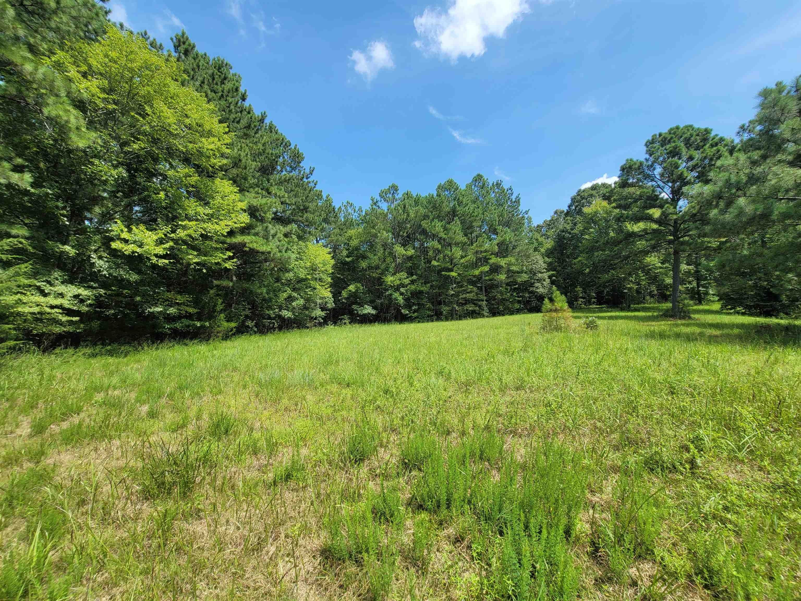 Reagan, Henderson County, TN Farms and Ranches for sale Property ID