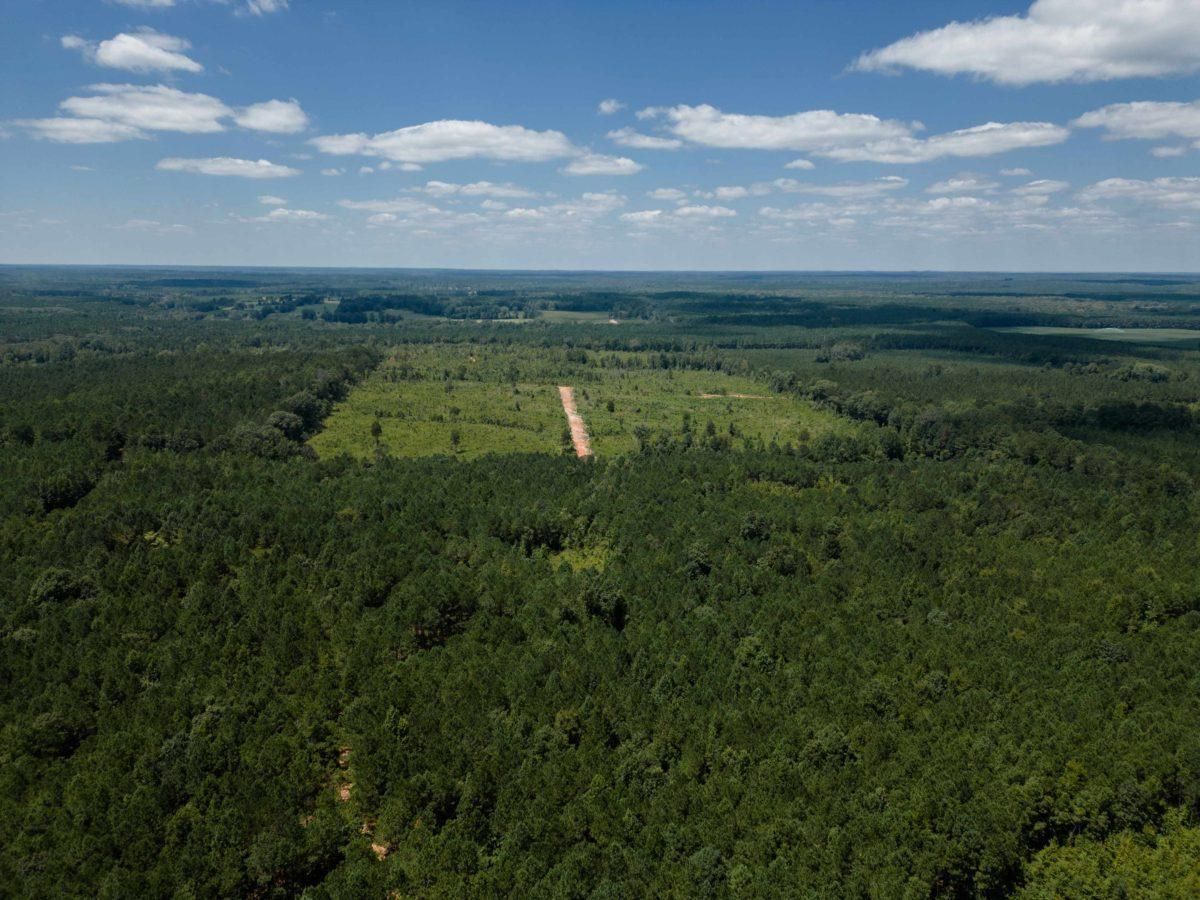 160 Acres, Choctaw County, MS, Louisville, MS 39108 LandWatch