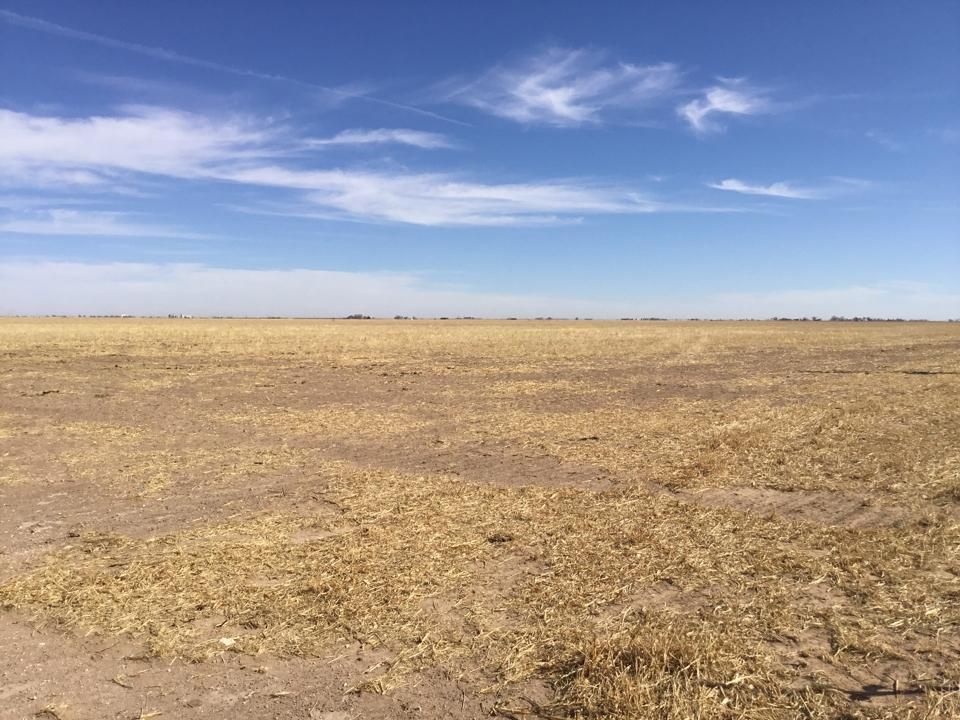 Muleshoe, Bailey County, TX Farms and Ranches for sale Property ID