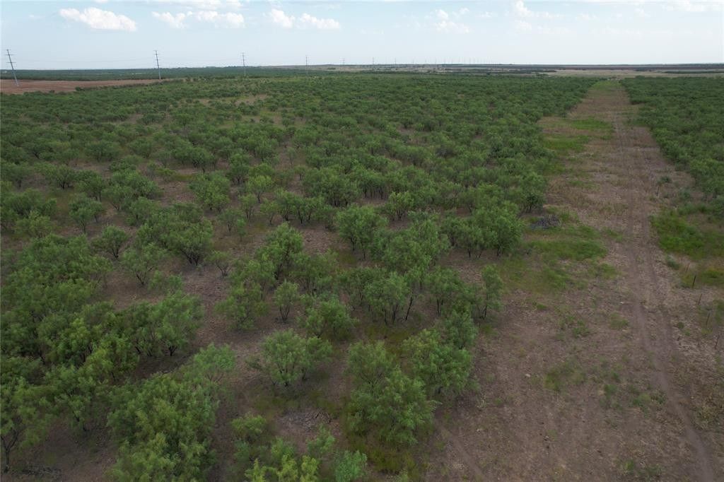 75+/ Ac Hwy 6, Lueders, TX 79533 MLS 20410916 LandWatch