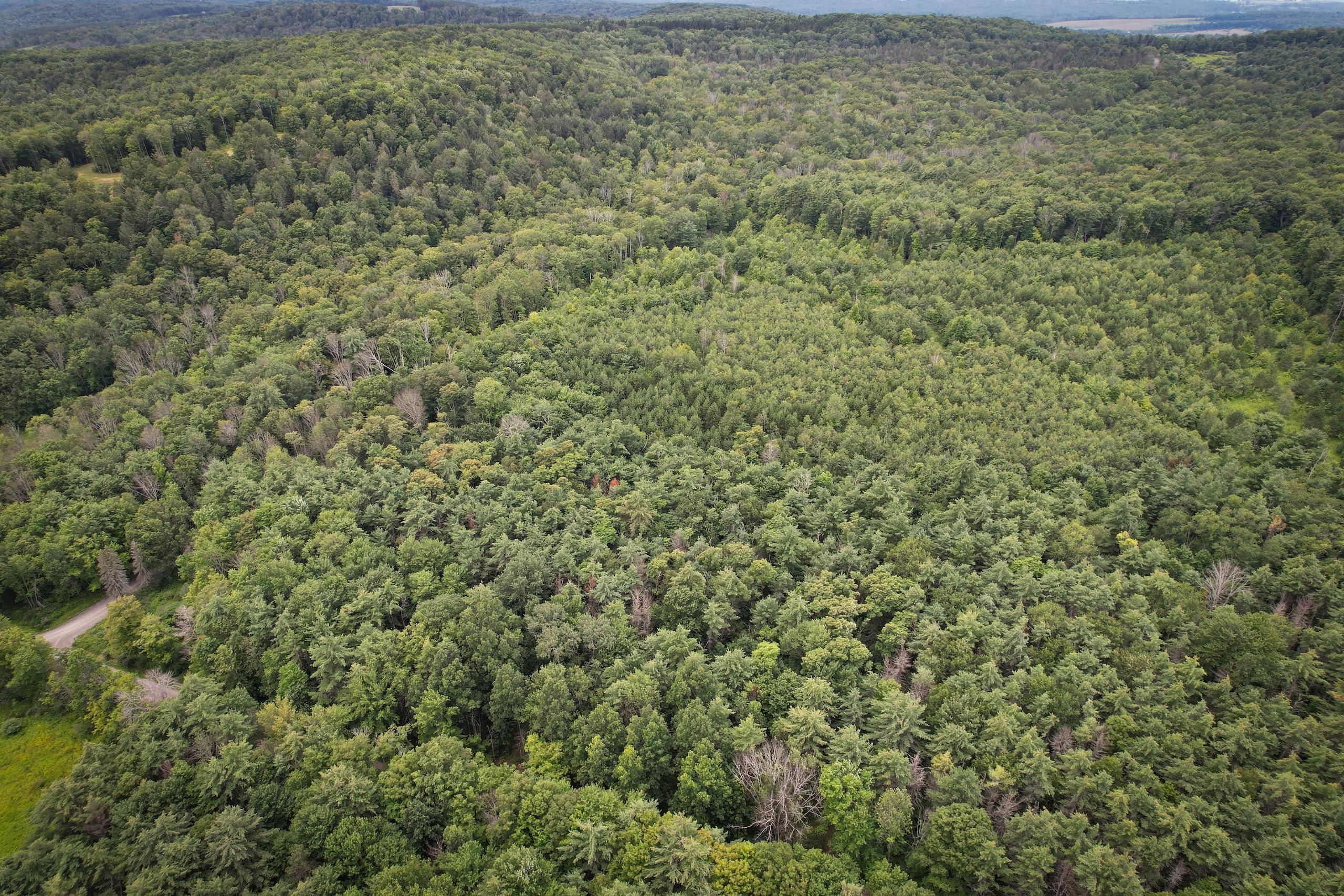 Erin, Chemung County, NY Recreational Property, Timberland Property for