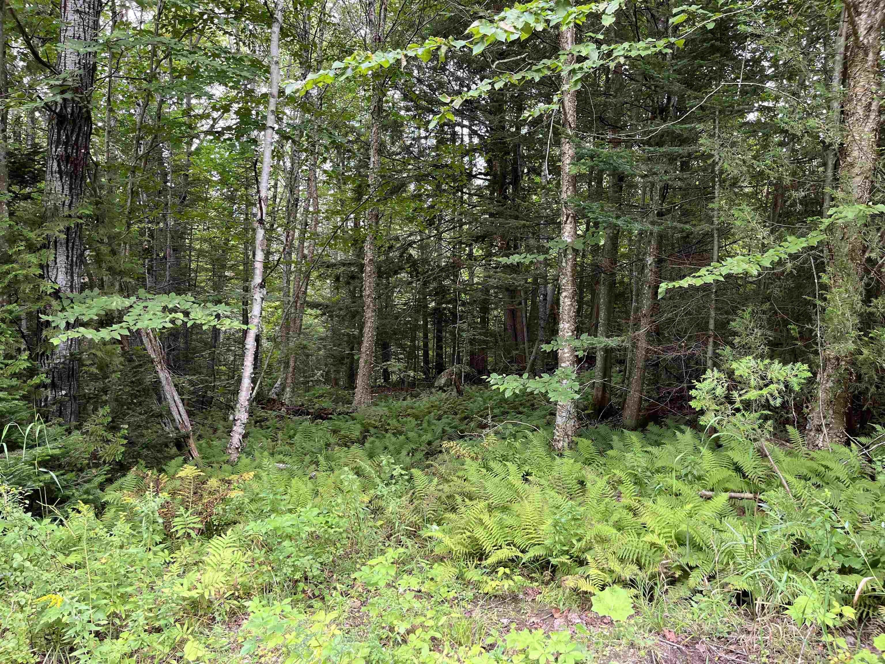West Charleston, Orleans County, VT Undeveloped Land for sale Property