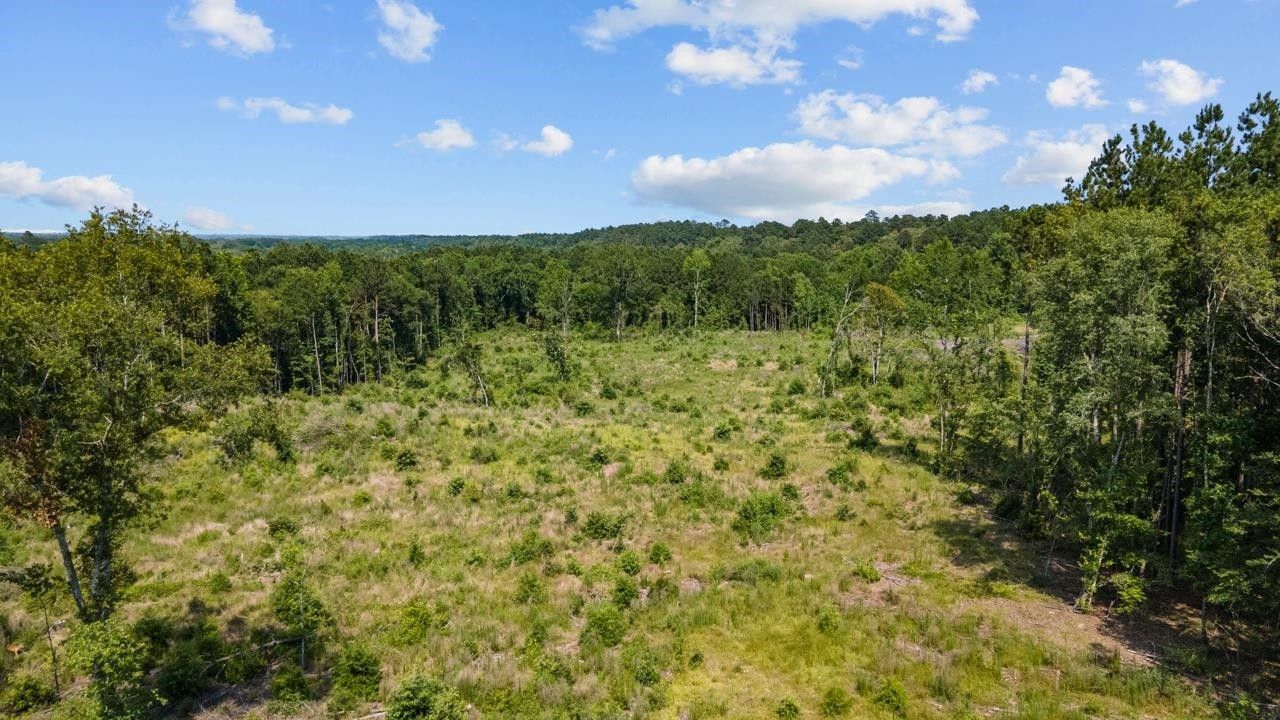 Shelbyville, Shelby County, TX Undeveloped Land for sale Property ID