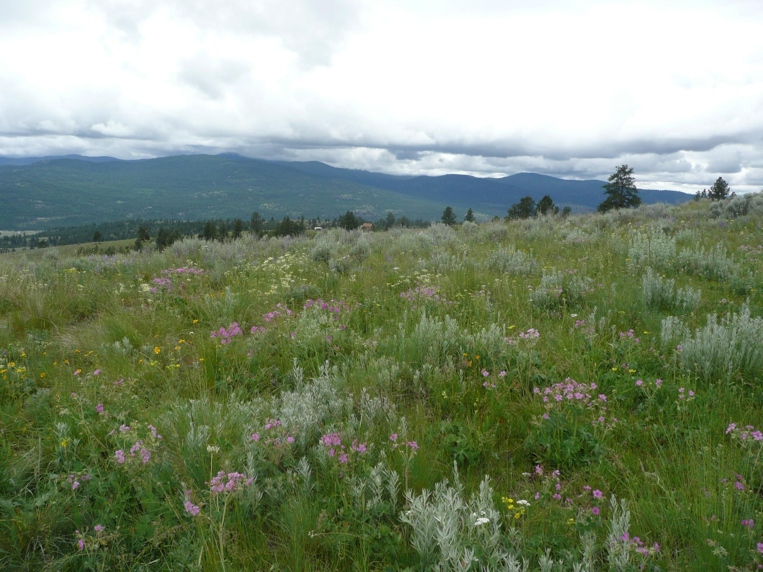 Tonasket, Okanogan County, WA Recreational Property, Horse Property for