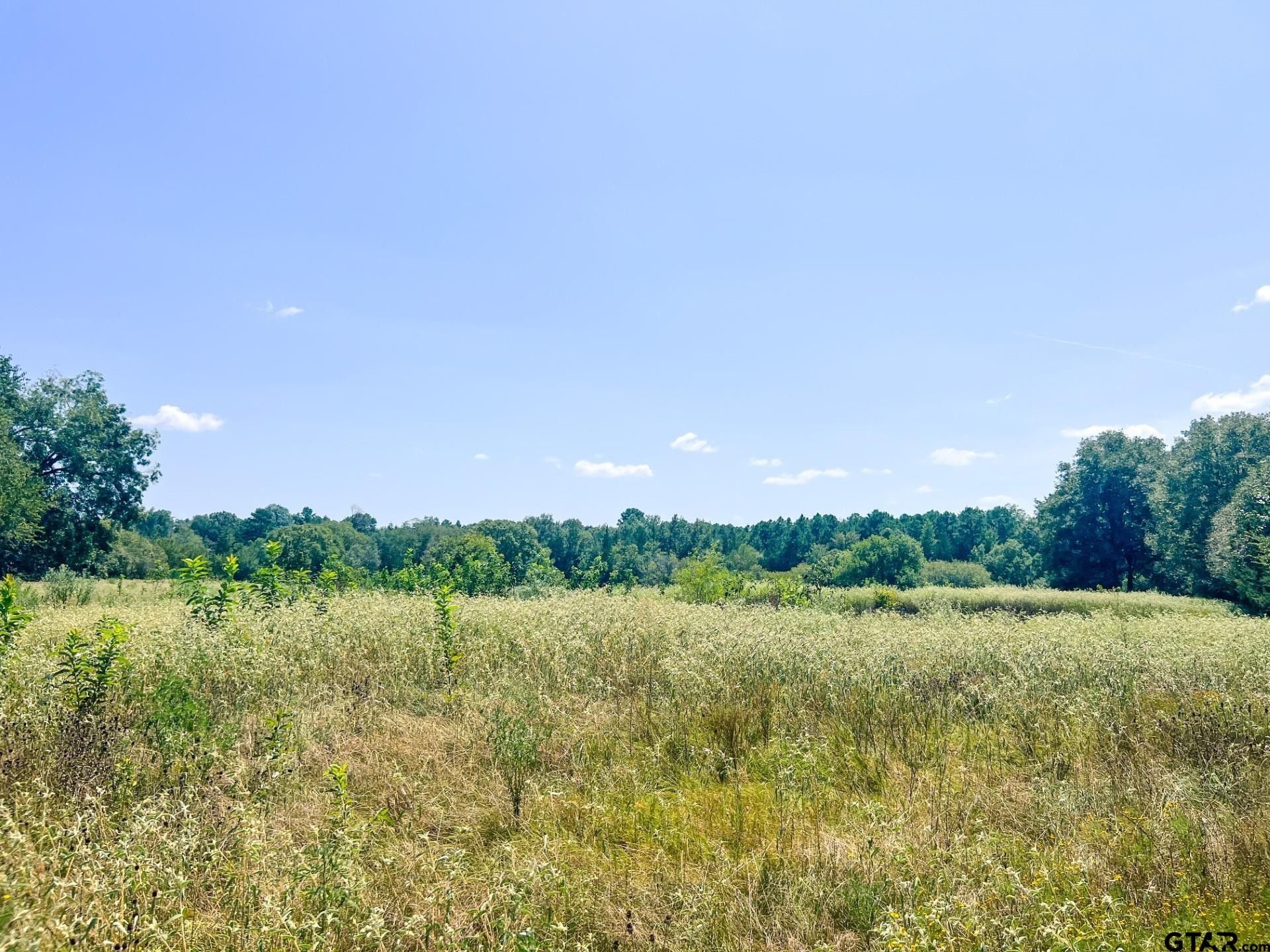 Mount Pleasant, Titus County, TX Undeveloped Land for sale Property ID