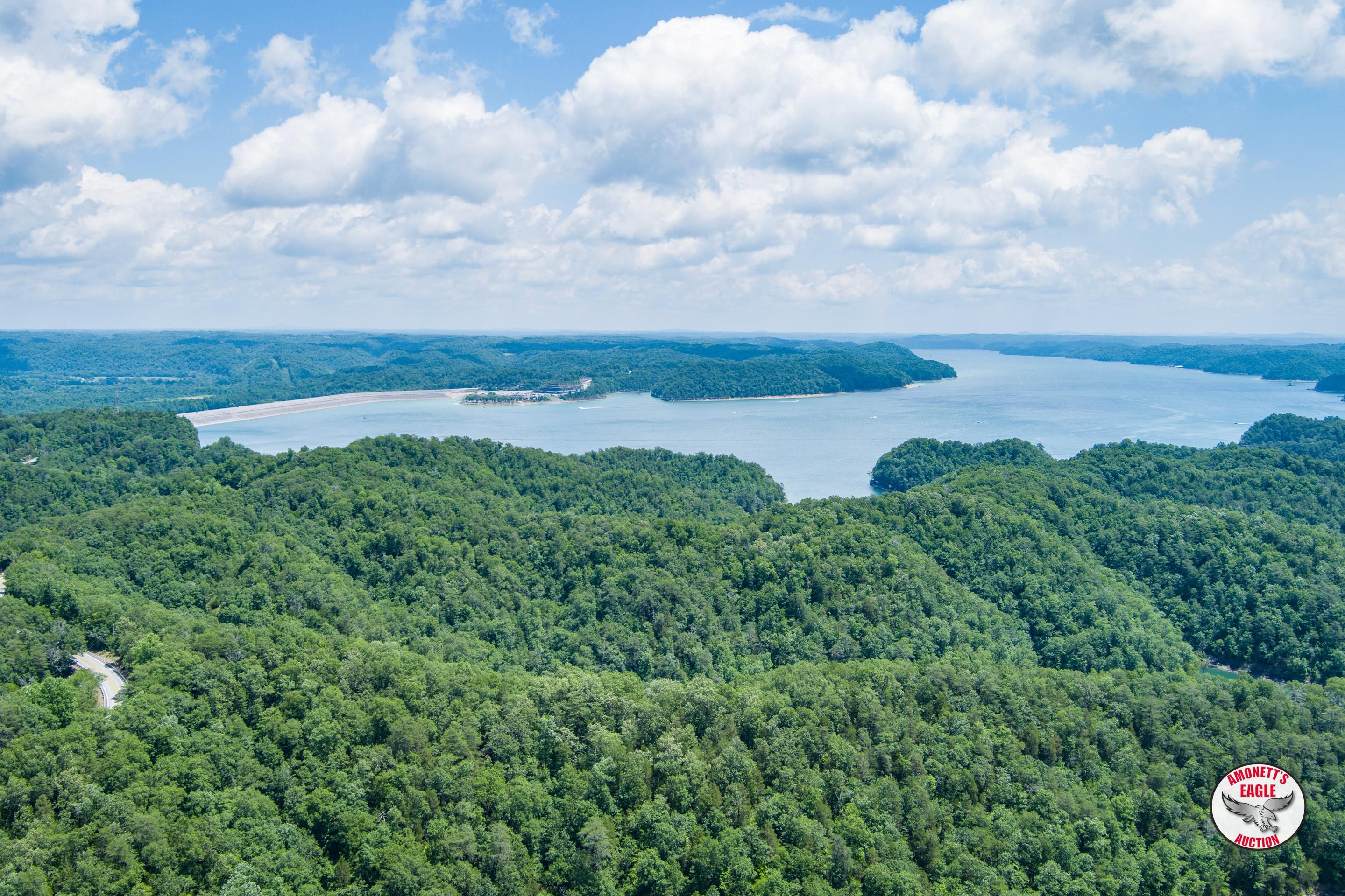 Jamestown, Russell County, KY Farms and Ranches for auction Property ID