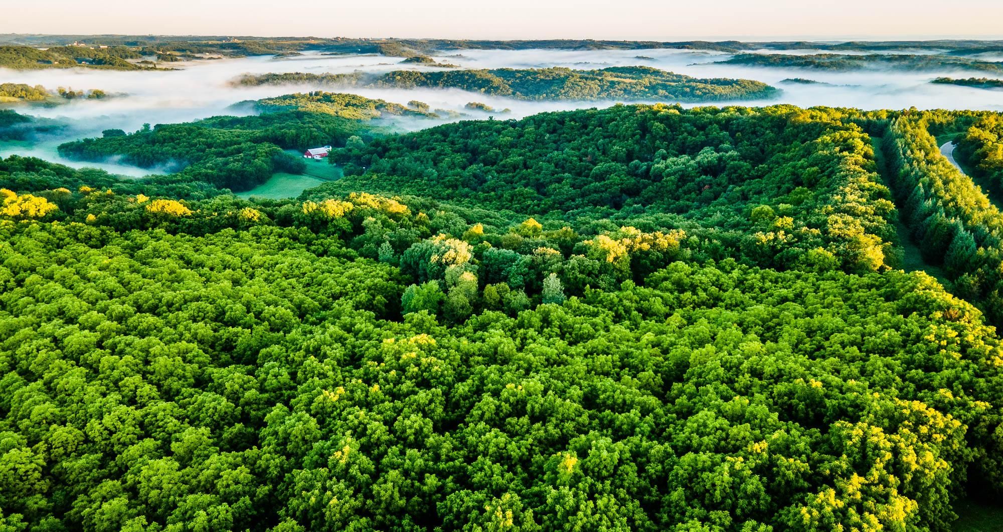 Ridgeway, Iowa County, WI Recreational Property, Hunting Property, House for sale Property ID