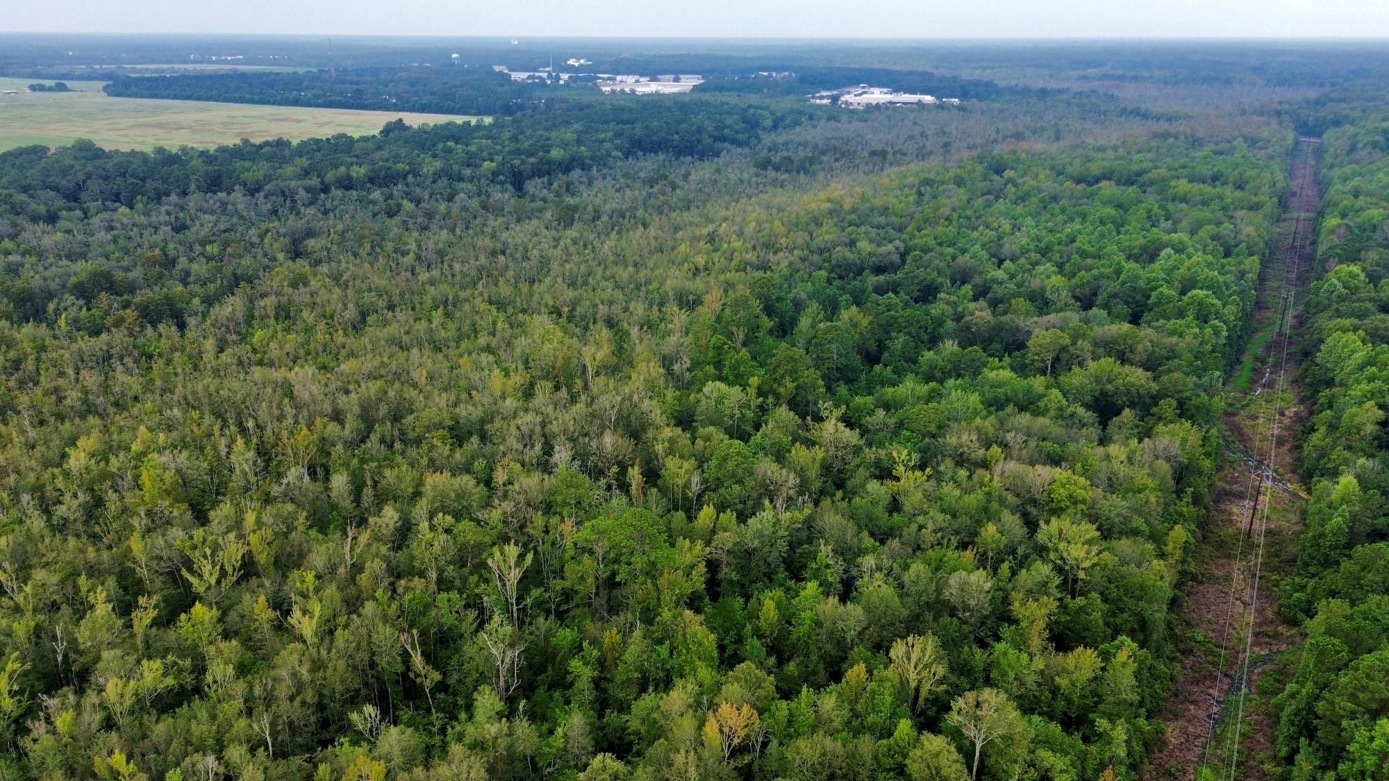 0 Lewis Road, Sumter, SC 29150 LandWatch