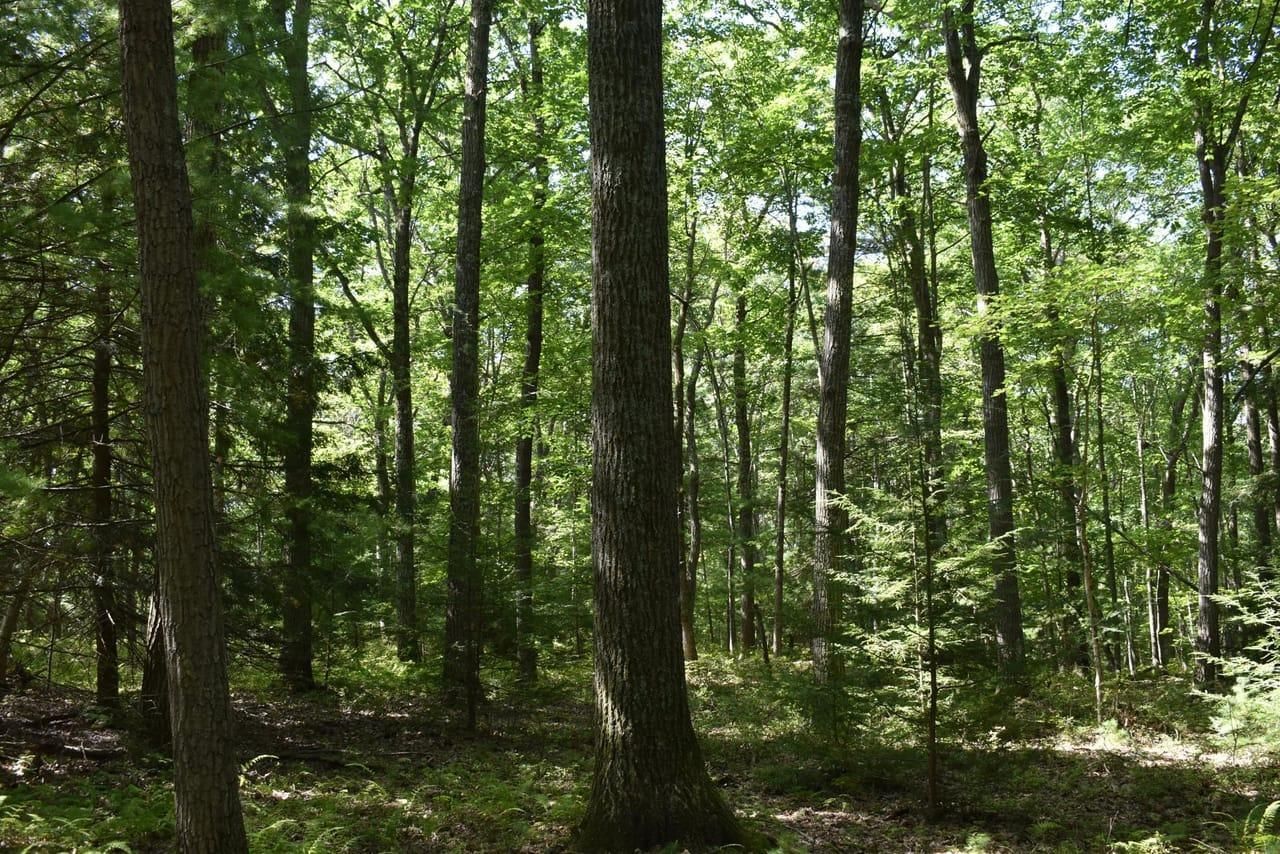 5468 Mason Hill Road, Driftwood, PA 15832 LandWatch