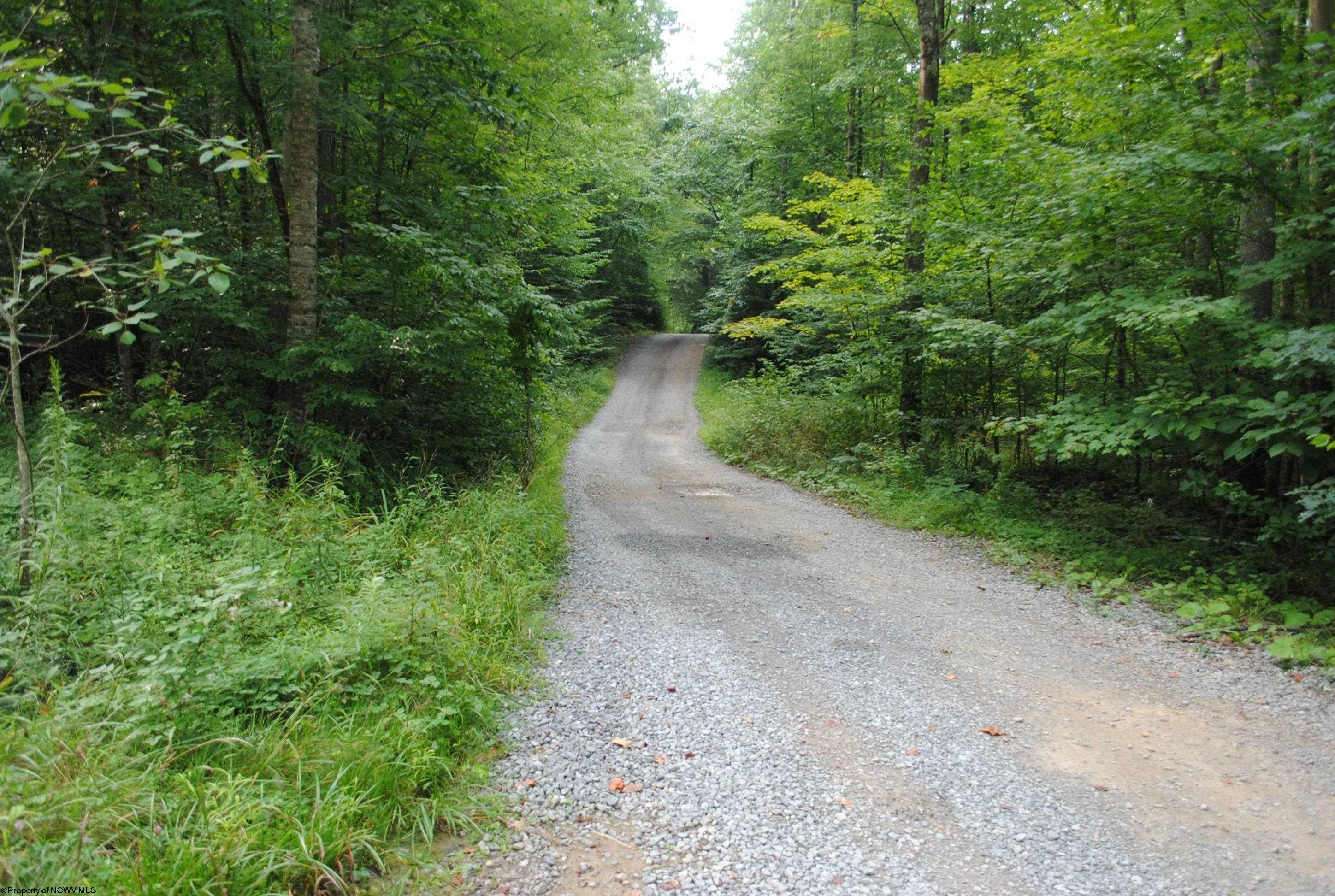 TBD Crusader Drive, Huttonsville, WV 26273 MLS 10150652 LandWatch