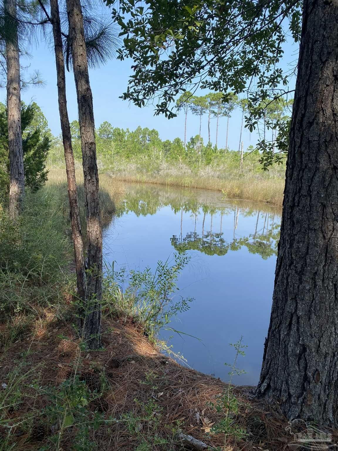 Milton, Santa Rosa County, FL Undeveloped Land, Lakefront Property