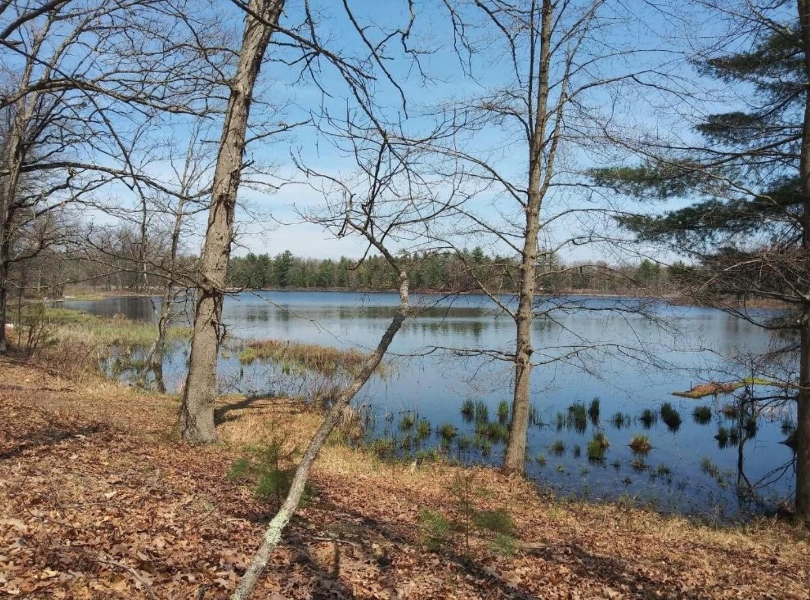 Bitely, Newaygo County, MI Lakefront Property, Waterfront Property