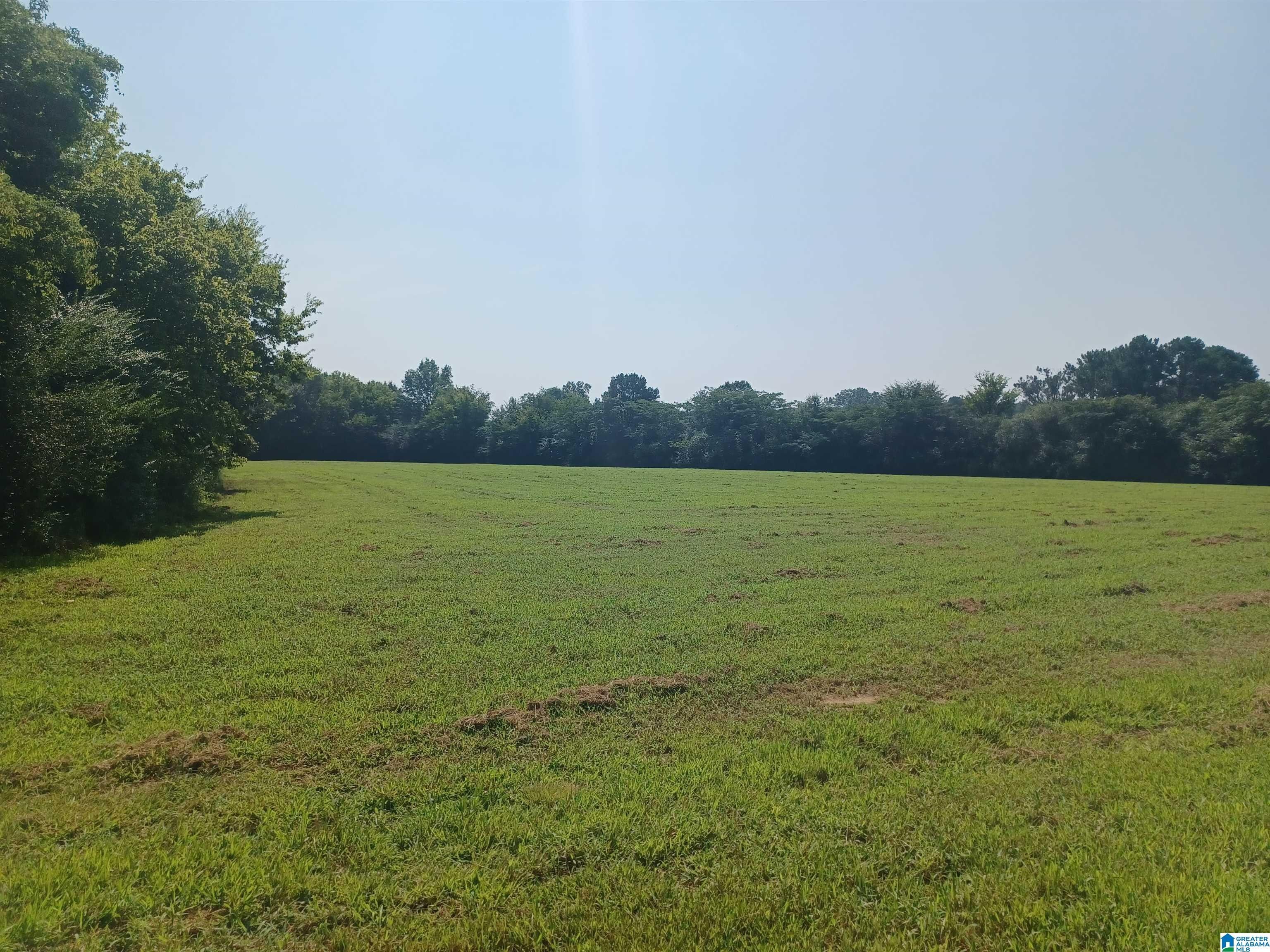 Gaylesville, Cherokee County, AL Undeveloped Land for sale Property ID
