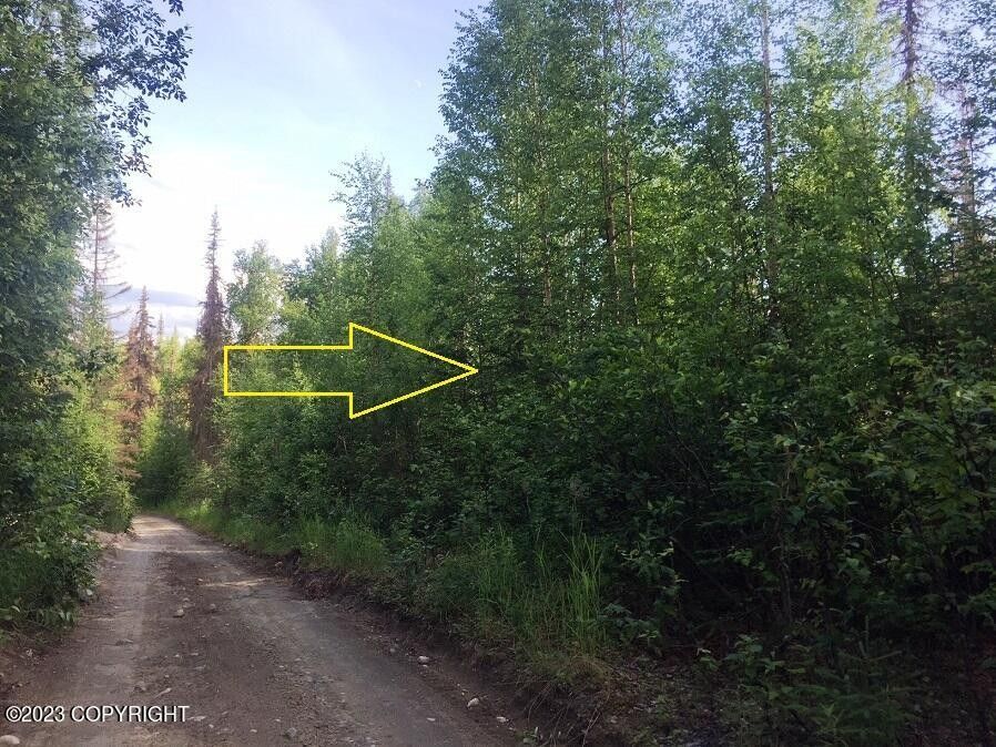 L2 B3 E Herringbone Street, Talkeetna, AK 99676 MLS 2310445 LandWatch