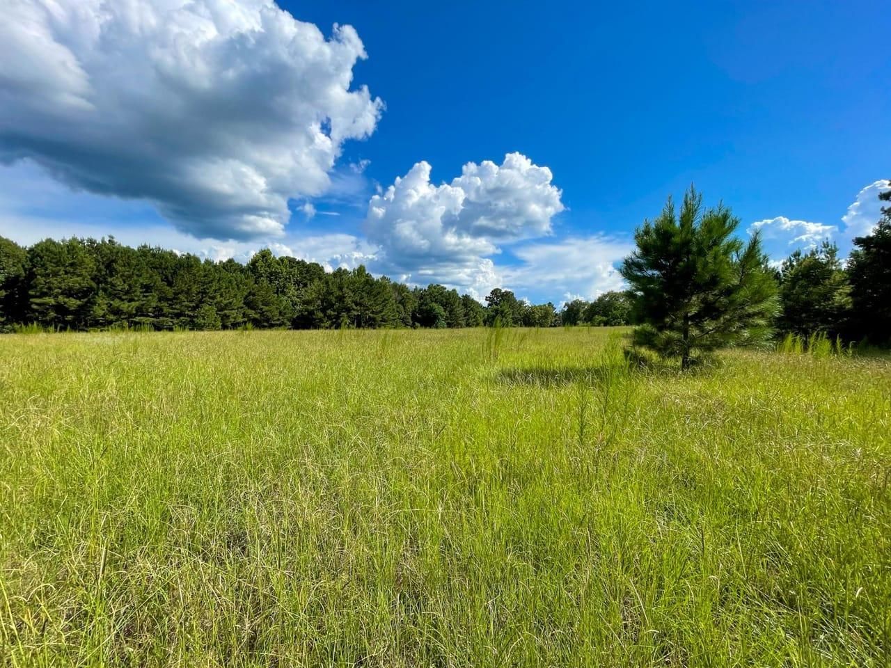 Union Springs, Bullock County, AL Farms and Ranches, Recreational