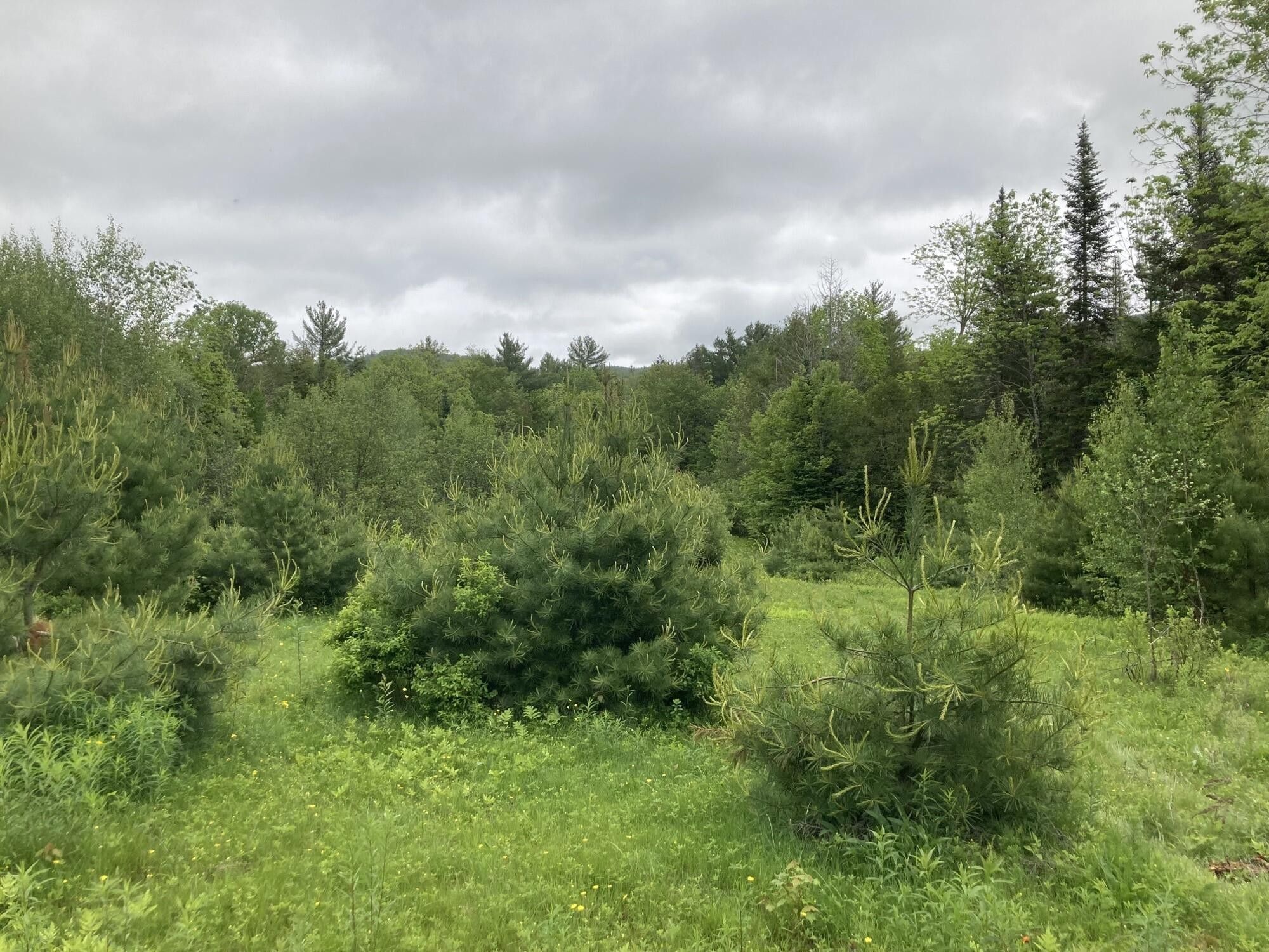 Dixfield, Oxford County, ME Undeveloped Land for sale Property ID