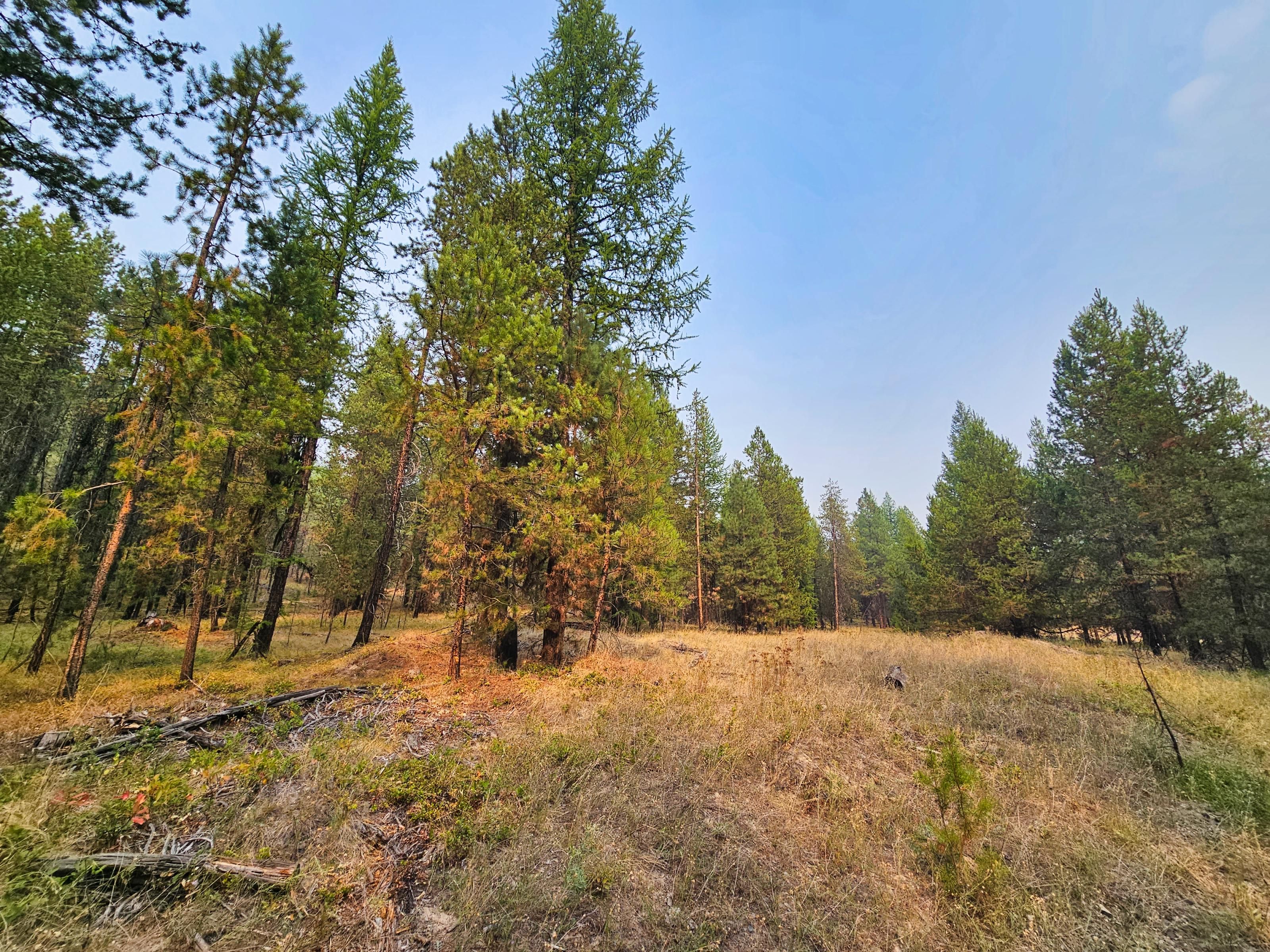 44 acres in Libby, MT, 59923 LandWatch