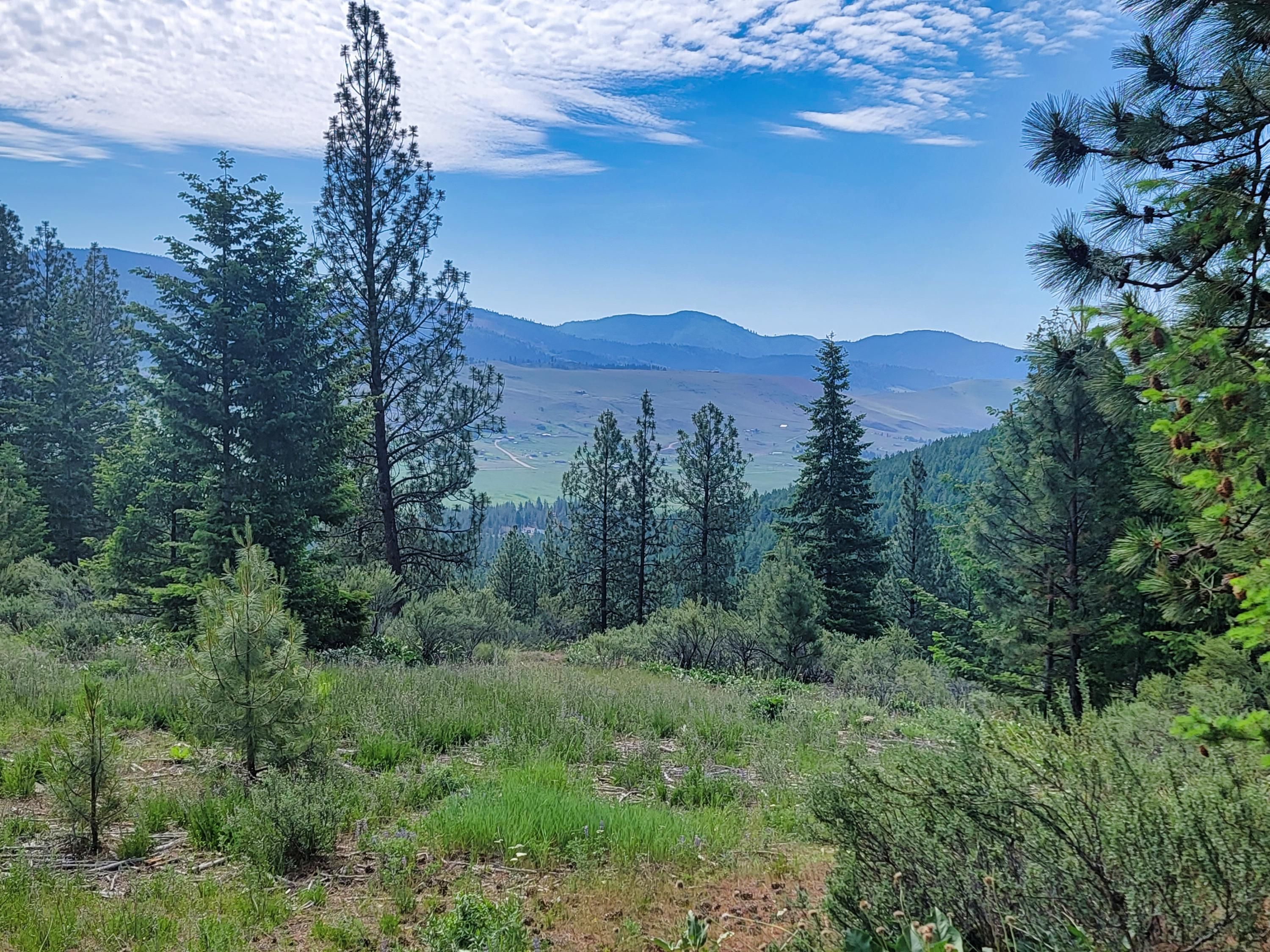 120 Acres In Plains MT 59859 LandWatch