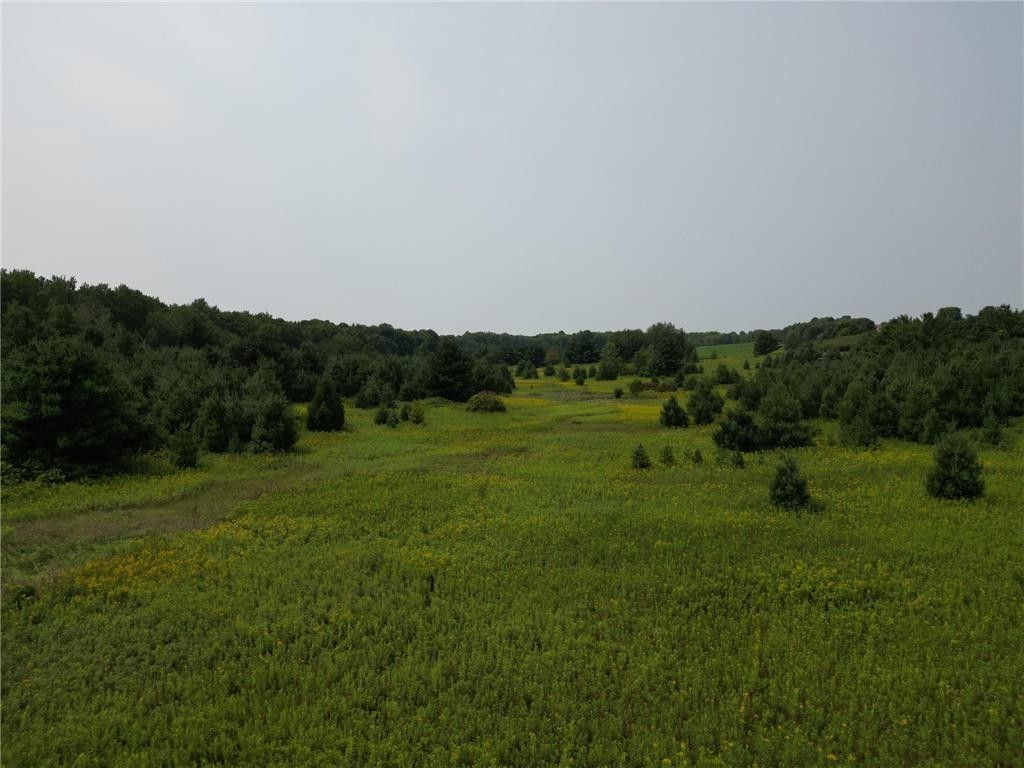 Knapp, Dunn County, WI Undeveloped Land for sale Property ID 417448388 LandWatch
