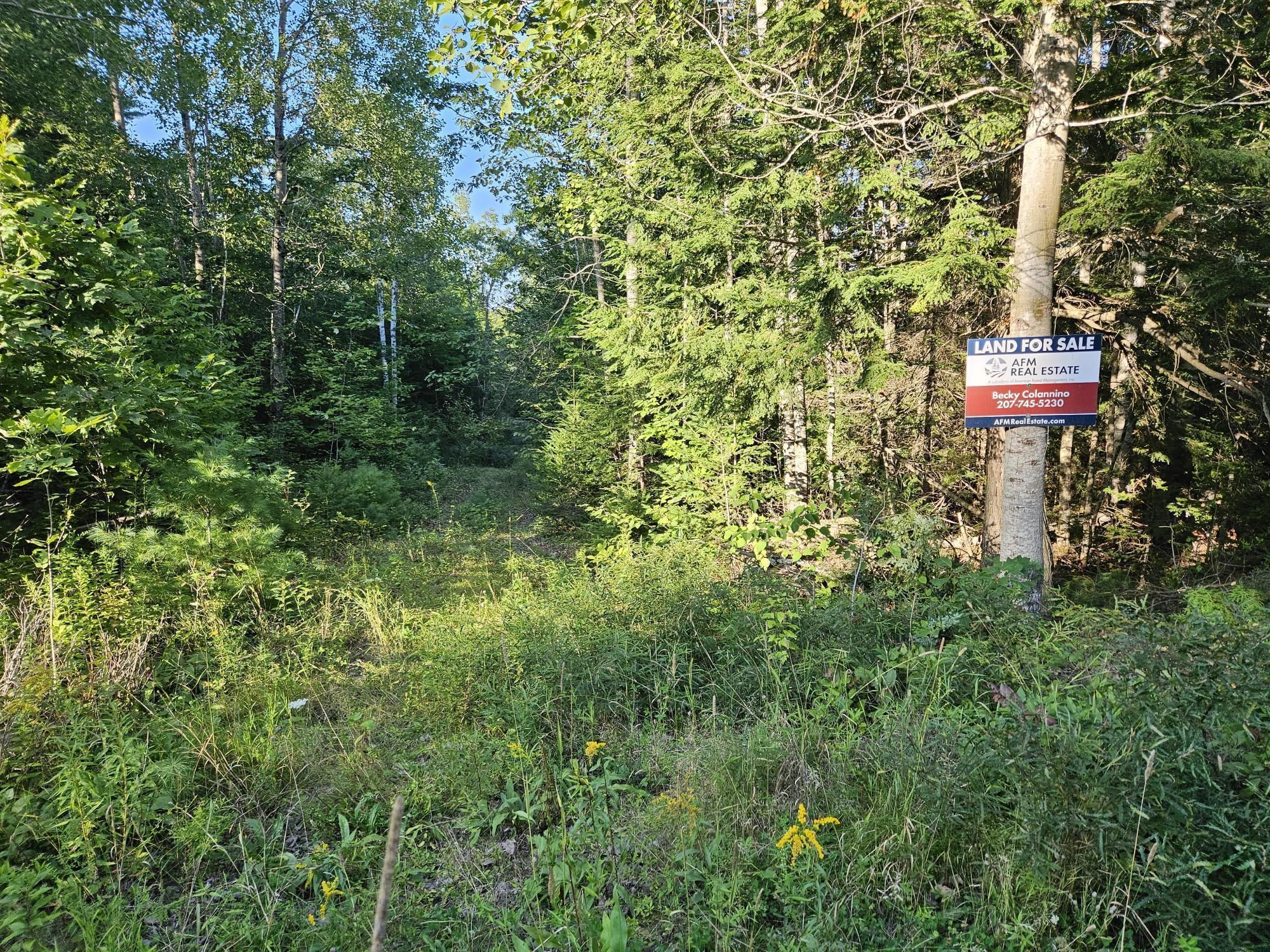 Eddington, Penobscot County, ME Commercial Property for sale Property